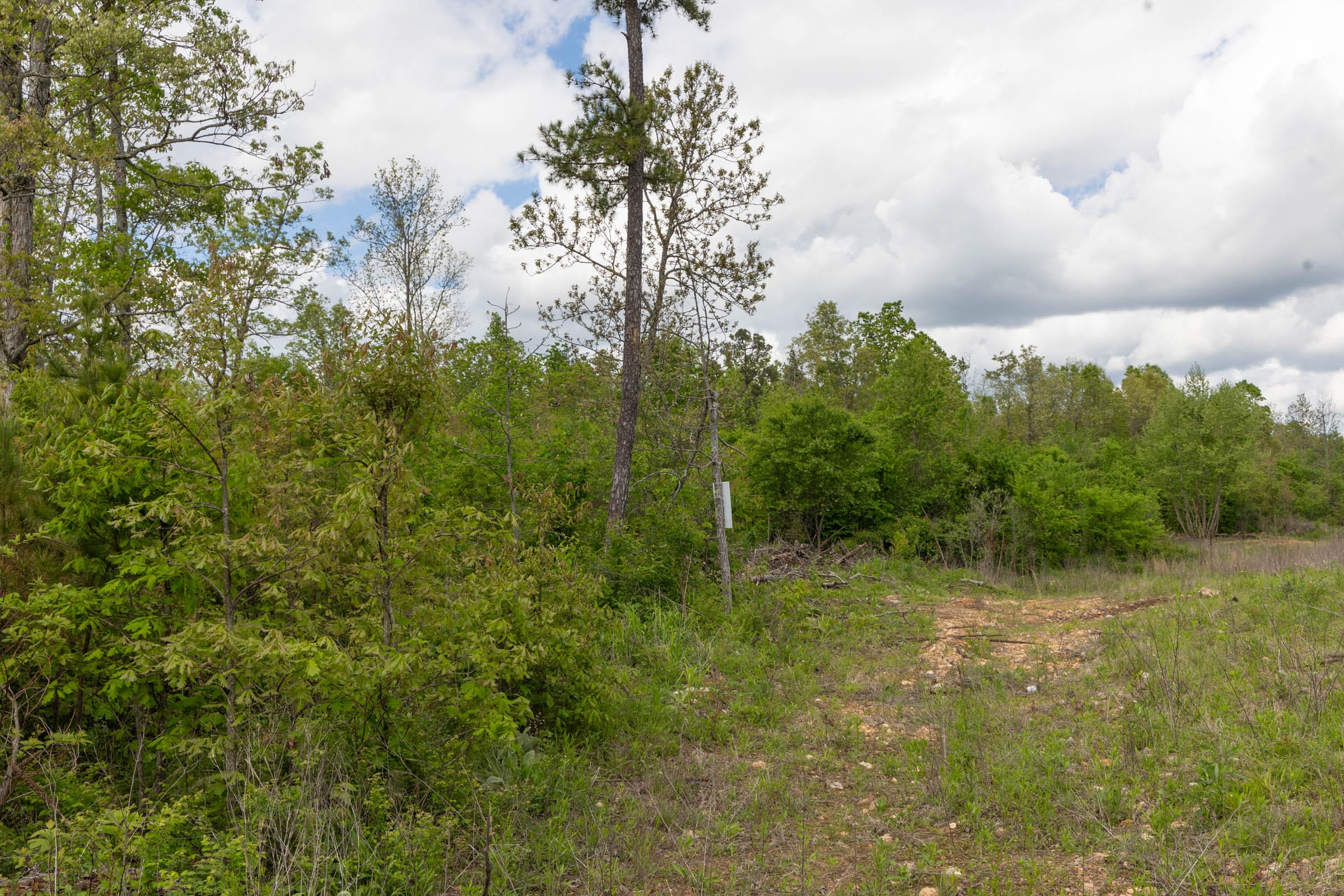 Sleepy Hollow Phase II Tract 100 photo 13