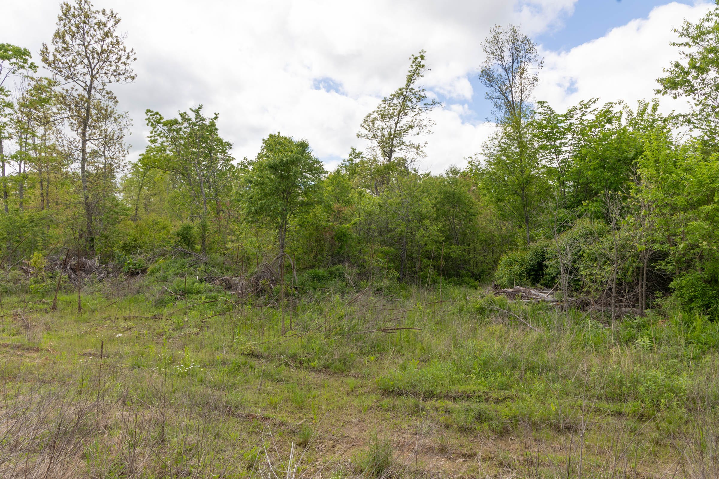 Sleepy Hollow Phase II Tract 100 photo 11