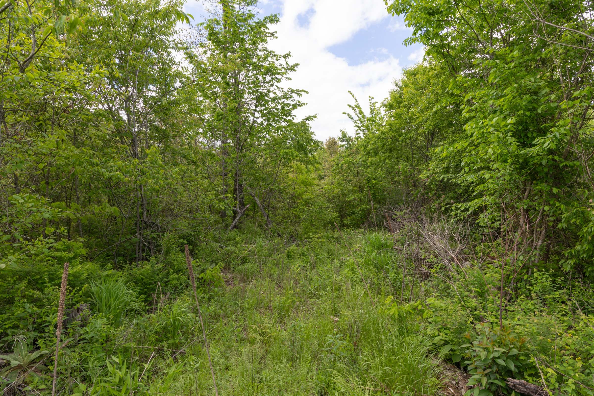 Sleepy Hollow Phase II Tract 100 photo 10