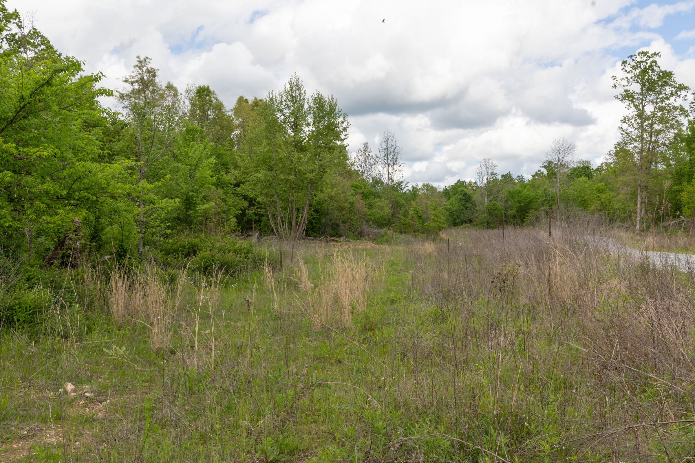 Sleepy Hollow Phase II Tract 100 photo 9
