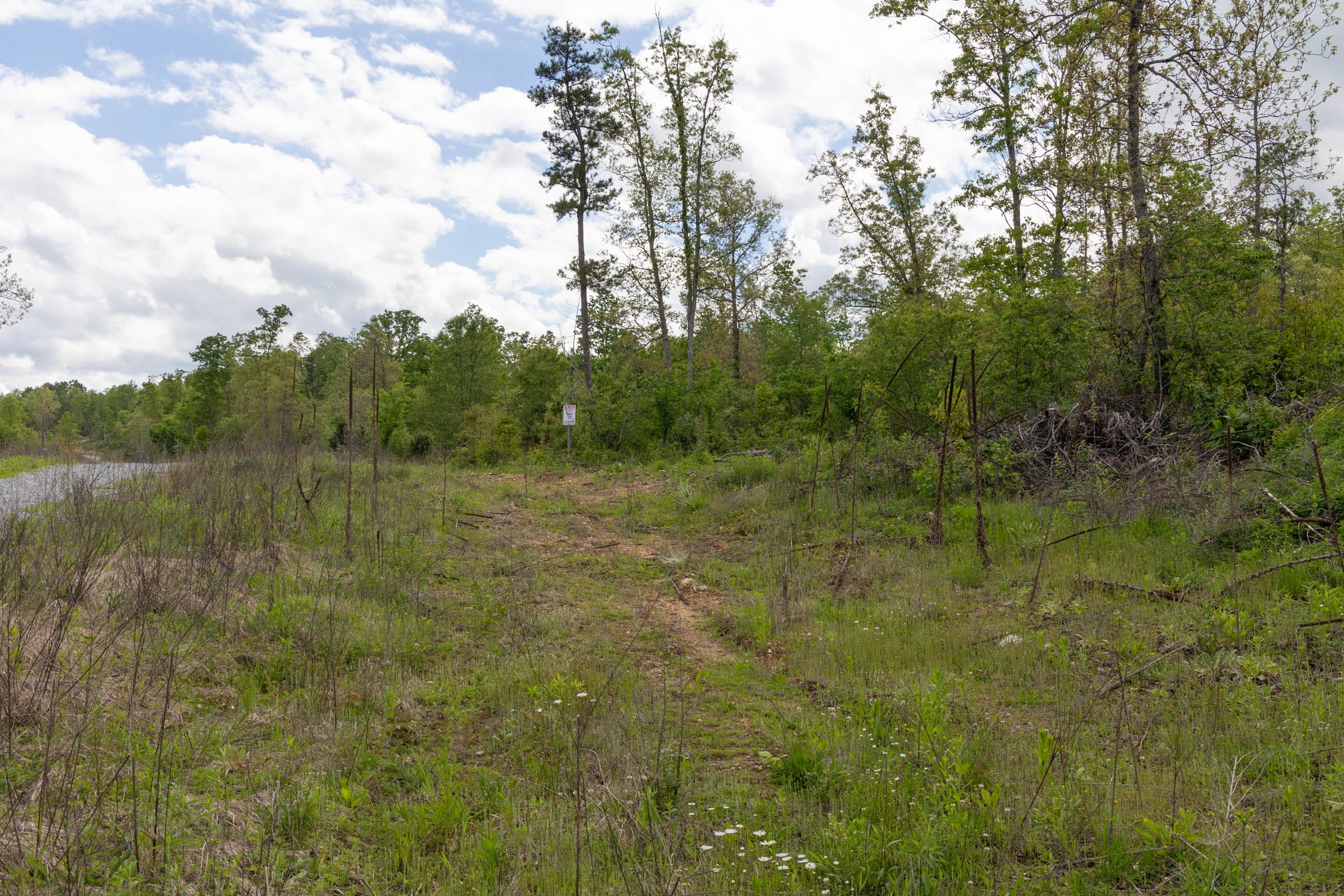 Sleepy Hollow Phase II Tract 100 photo 8