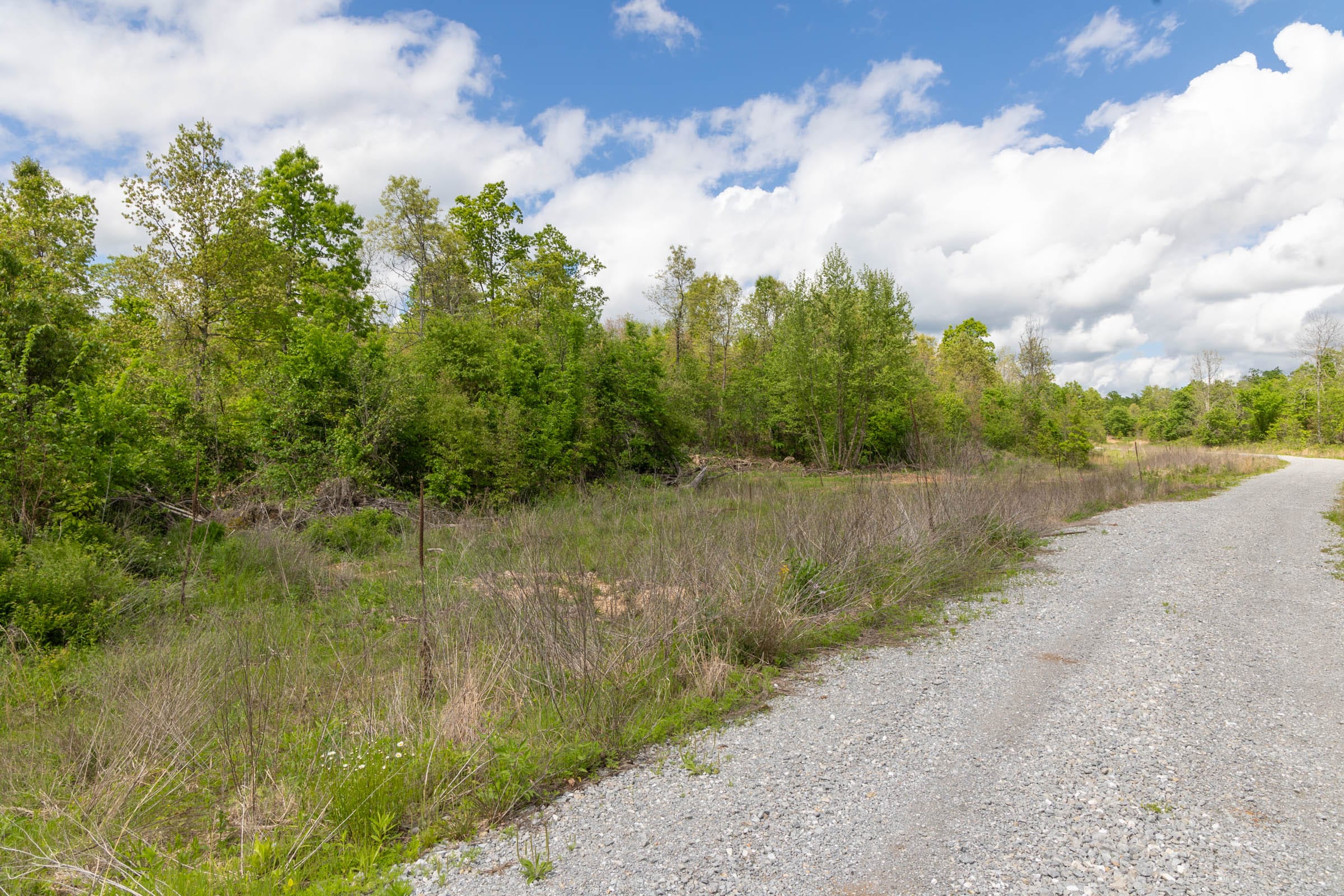 Sleepy Hollow Phase II Tract 100 photo 7