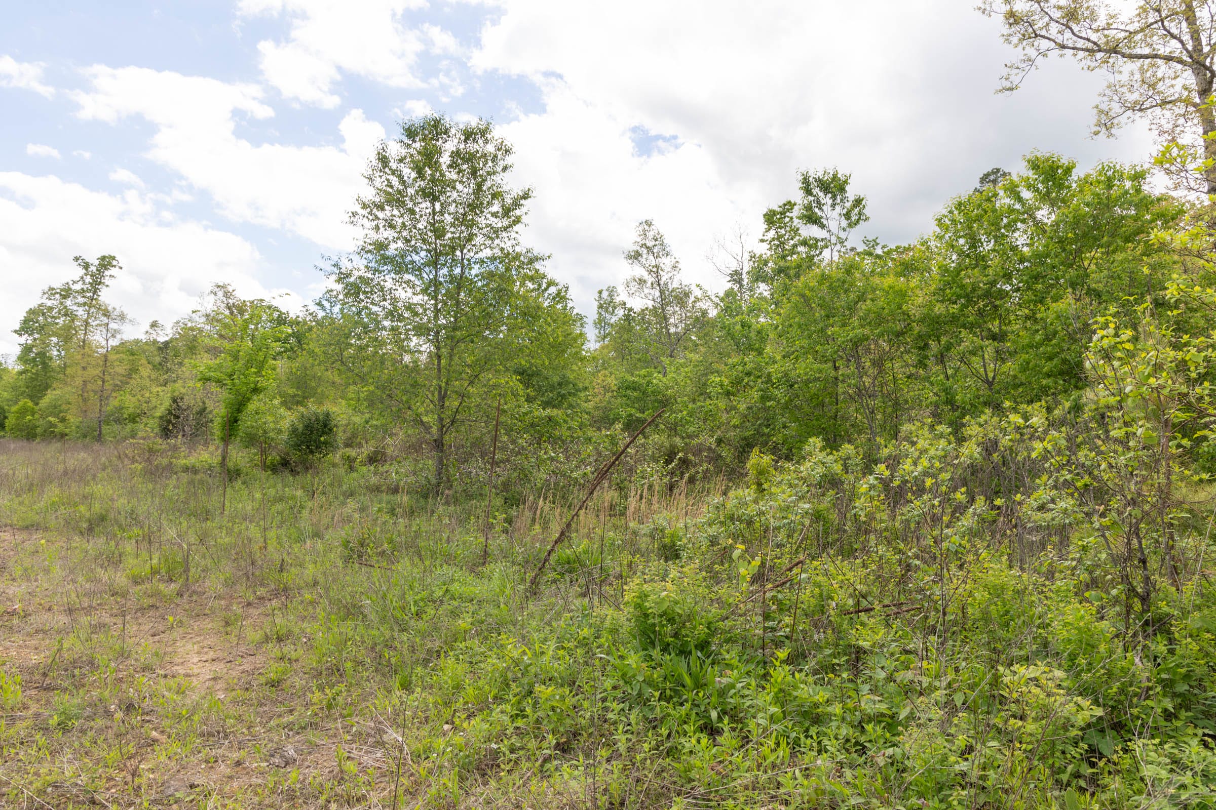 Sleepy Hollow Phase II Tract 100 photo 6