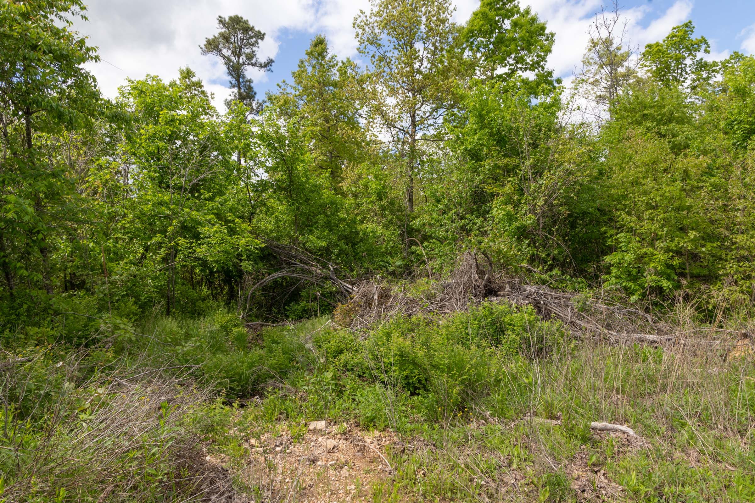 Sleepy Hollow Phase II Tract 100 photo 5