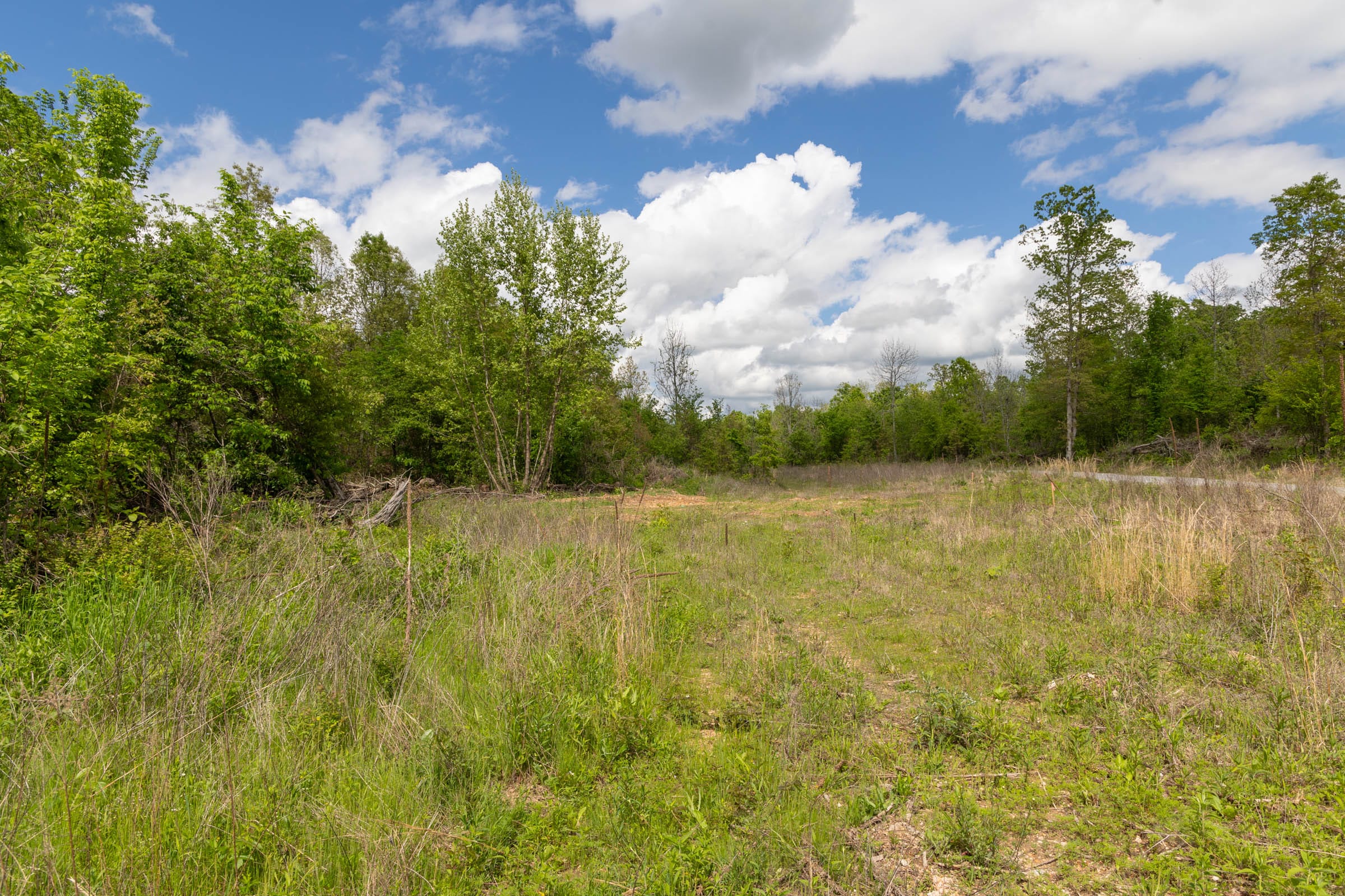 Sleepy Hollow Phase II Tract 100 photo 1