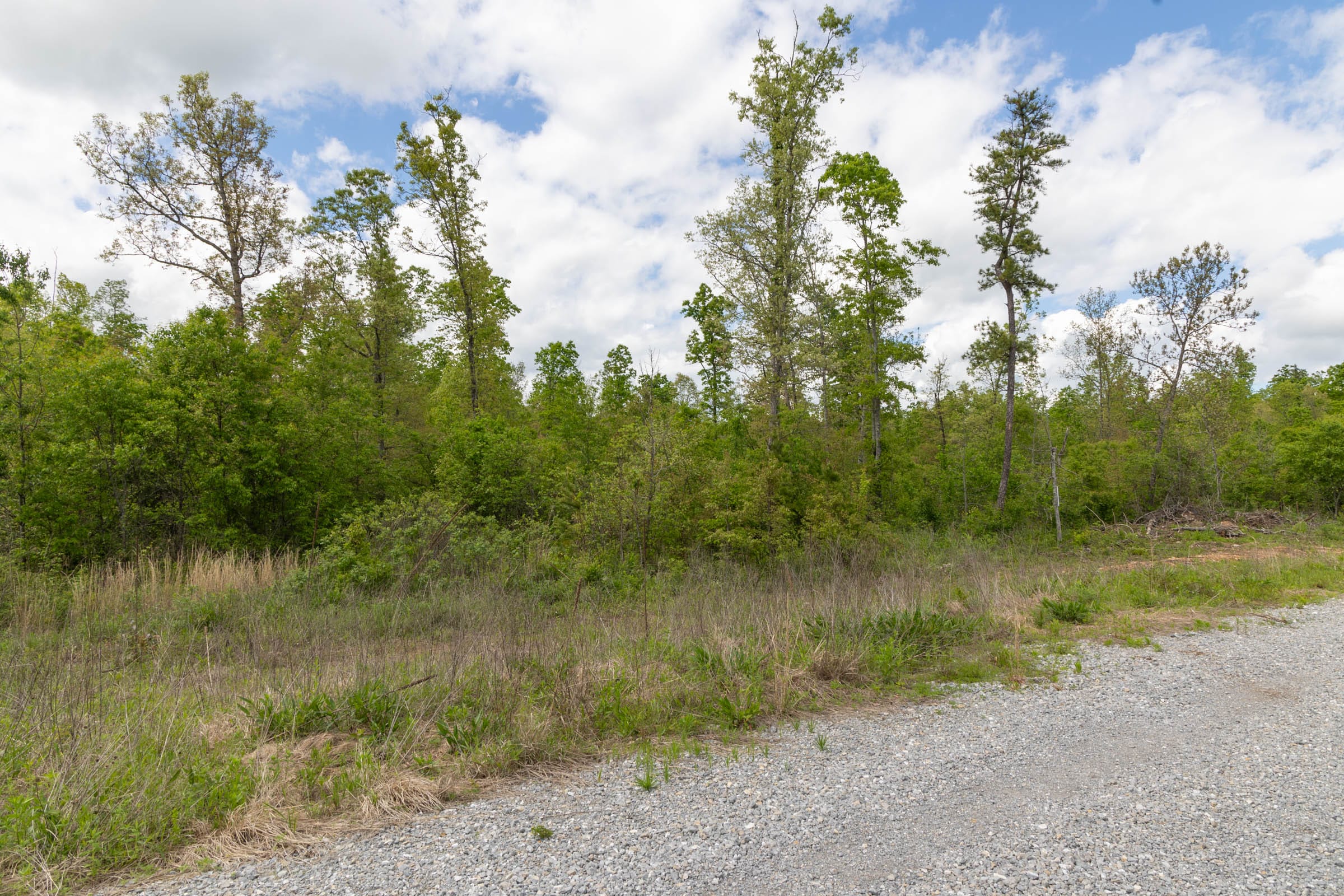 Sleepy Hollow Phase II Tract 100 photo 4