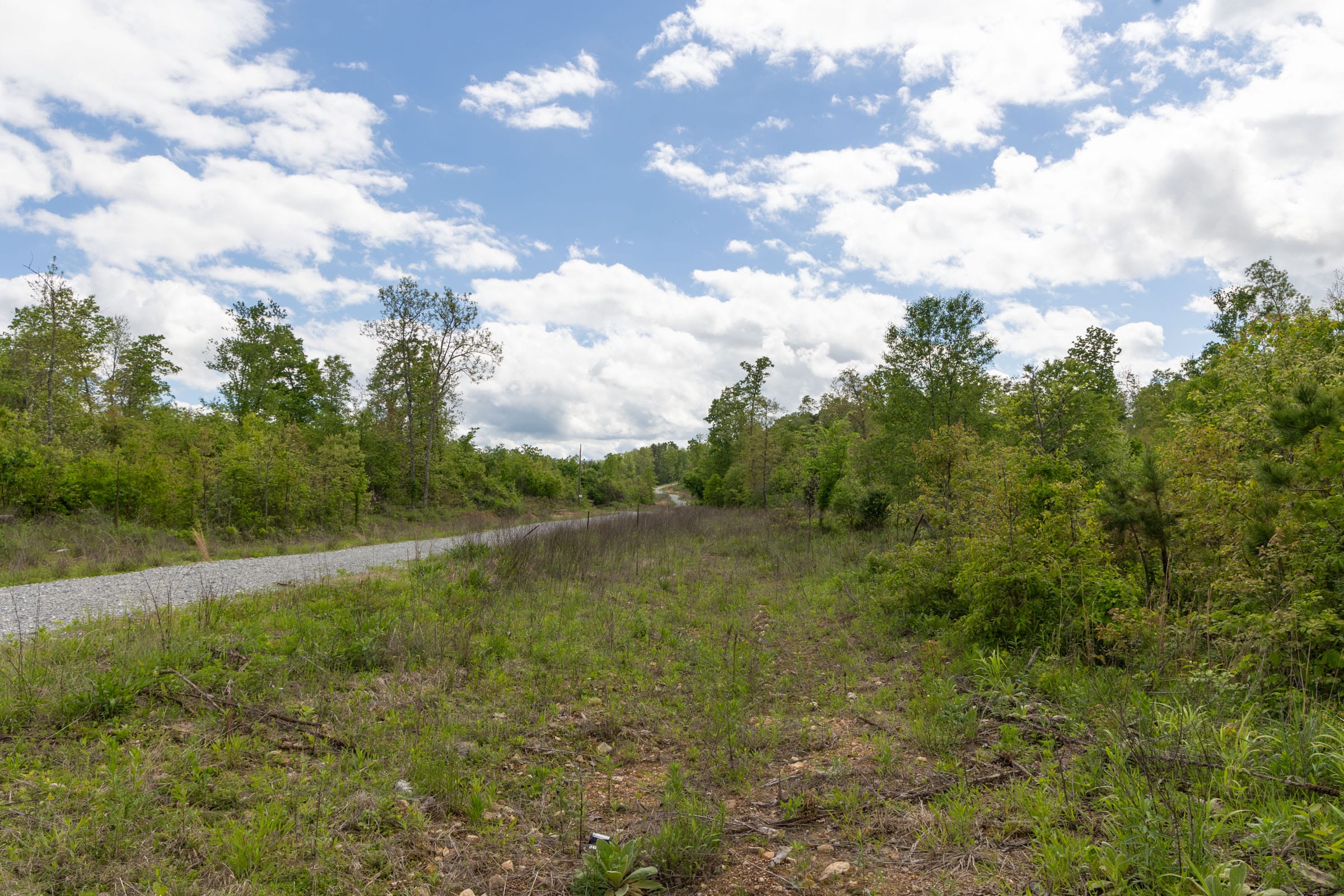 Sleepy Hollow Phase II Tract 100 photo 3
