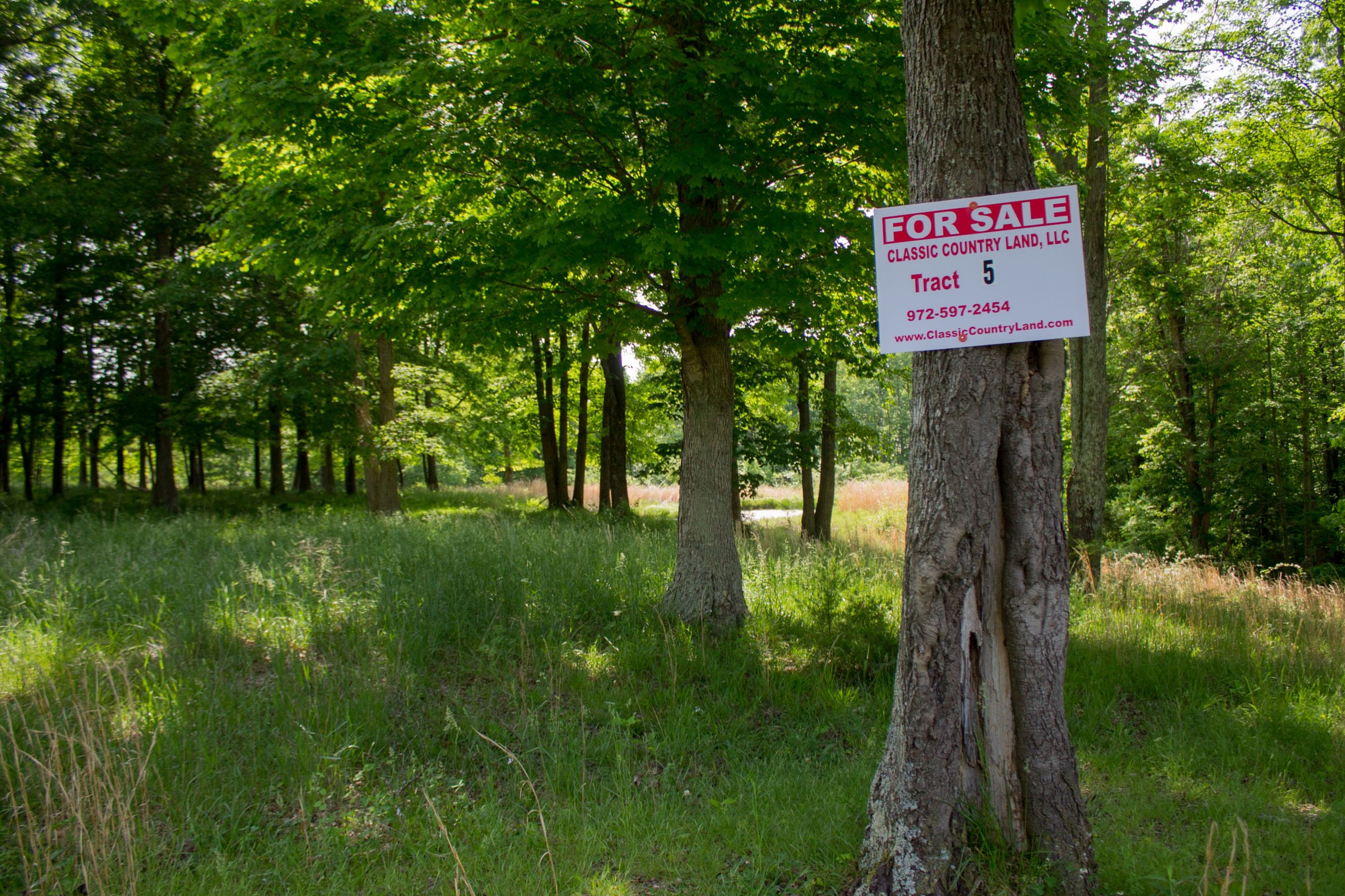 Laurel Ridge Tract 5 photo 1