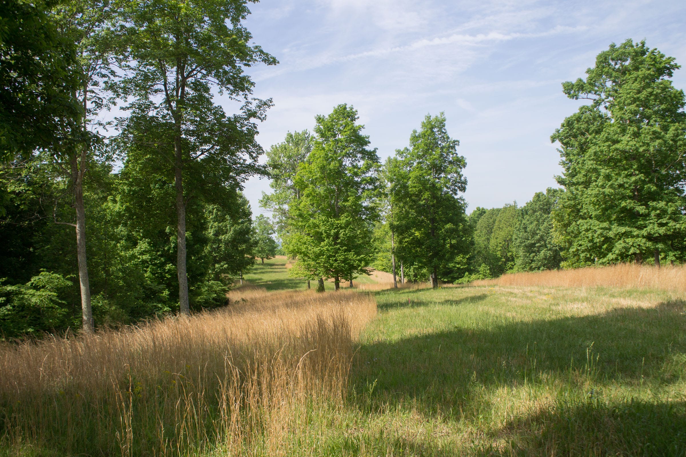 Laurel Ridge Tract 5 photo 2