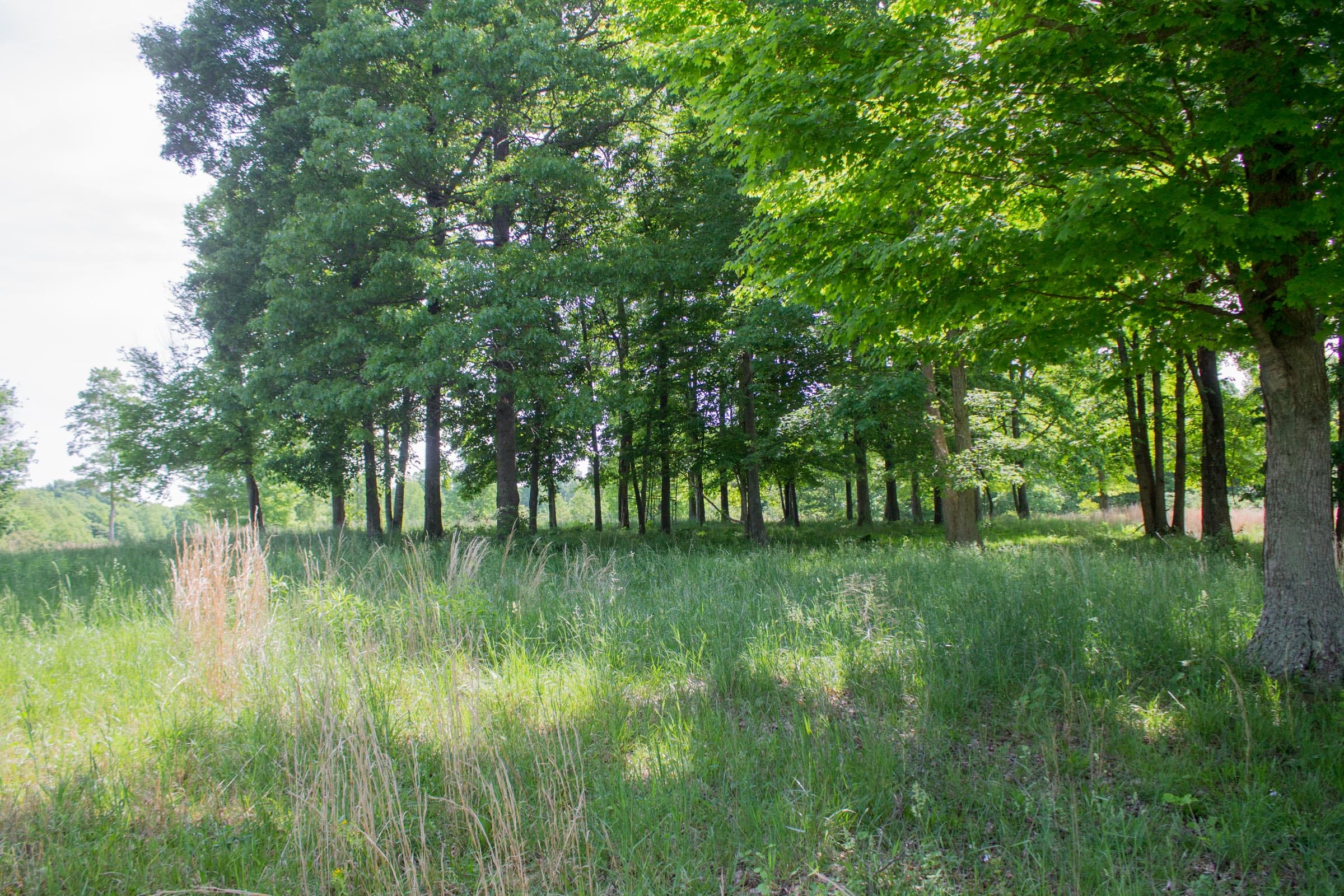 Laurel Ridge Tract 5 photo 3
