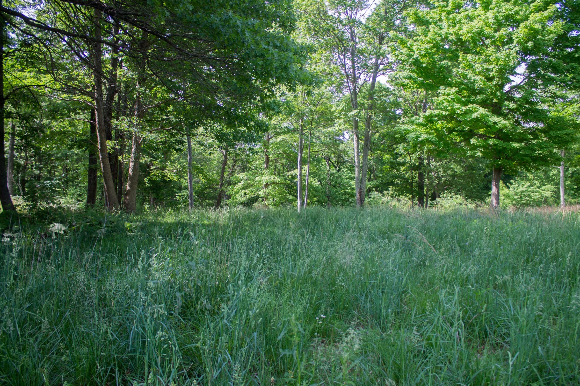 Laurel Ridge Tract 5 photo 8