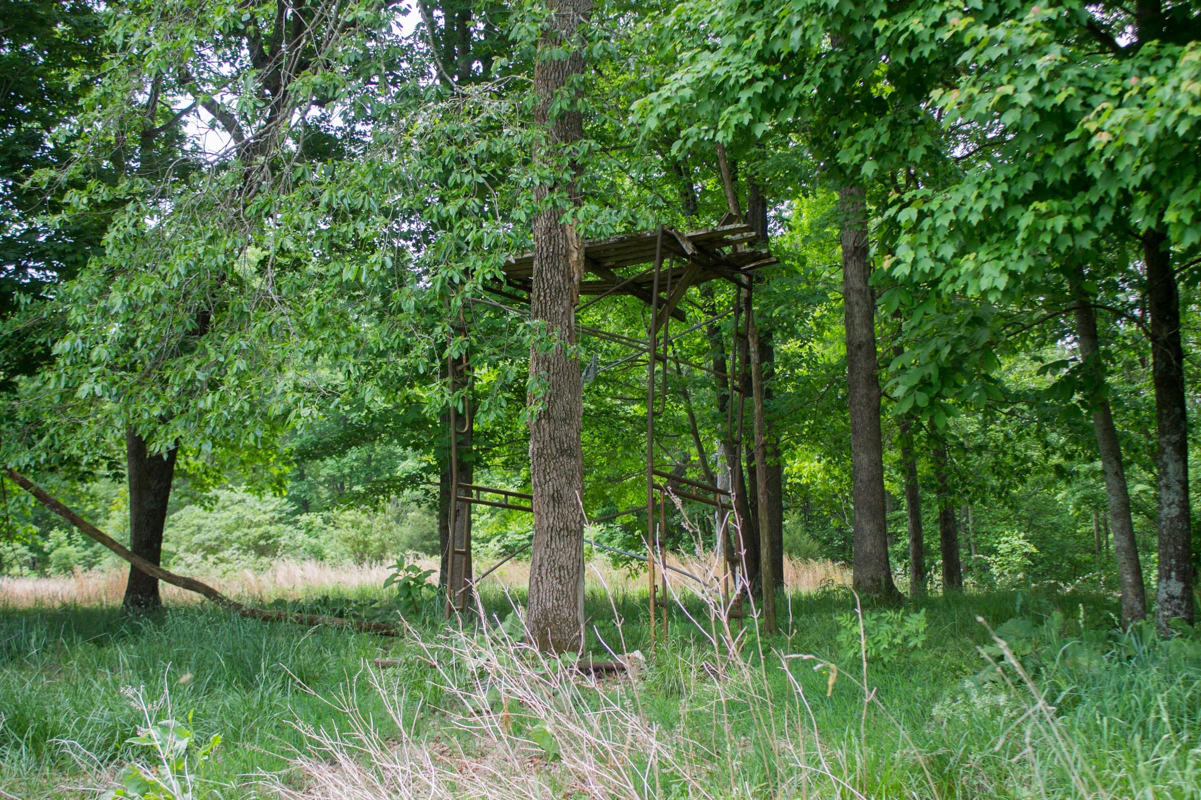 Laurel Ridge Tract 5 photo 10