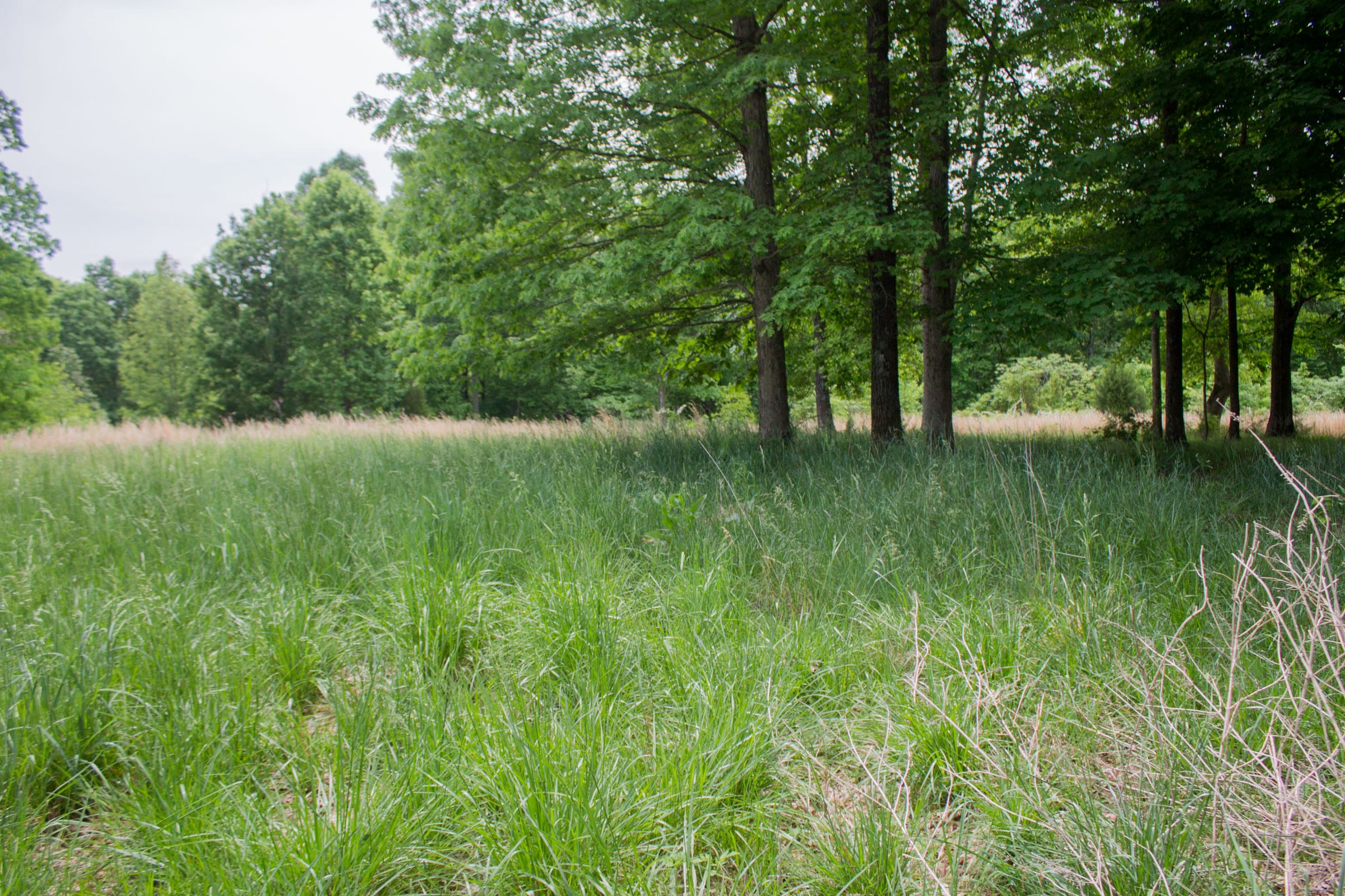 Laurel Ridge Tract 5 photo 12