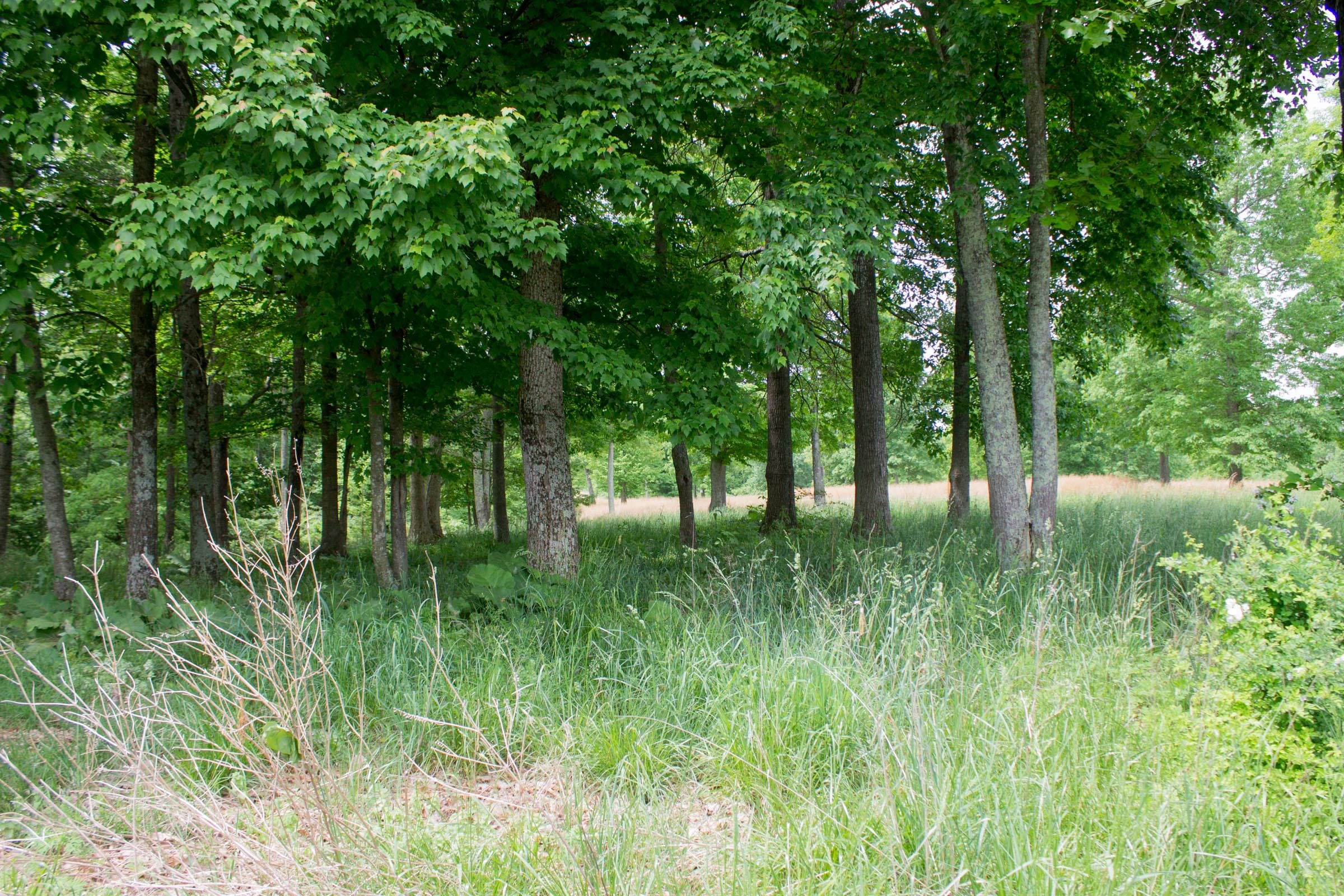 Laurel Ridge Tract 5 photo 13