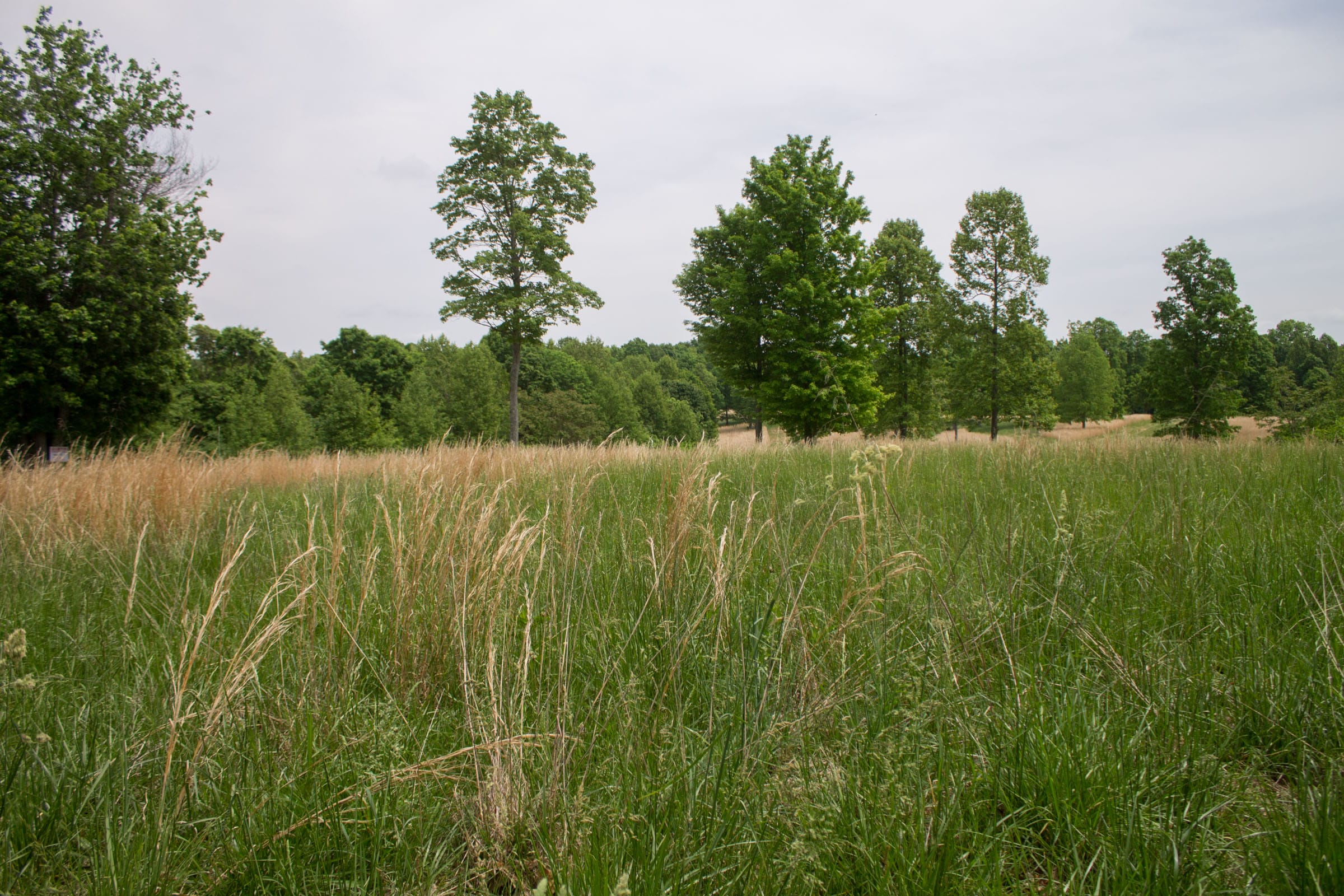 Laurel Ridge Tract 5 photo 14