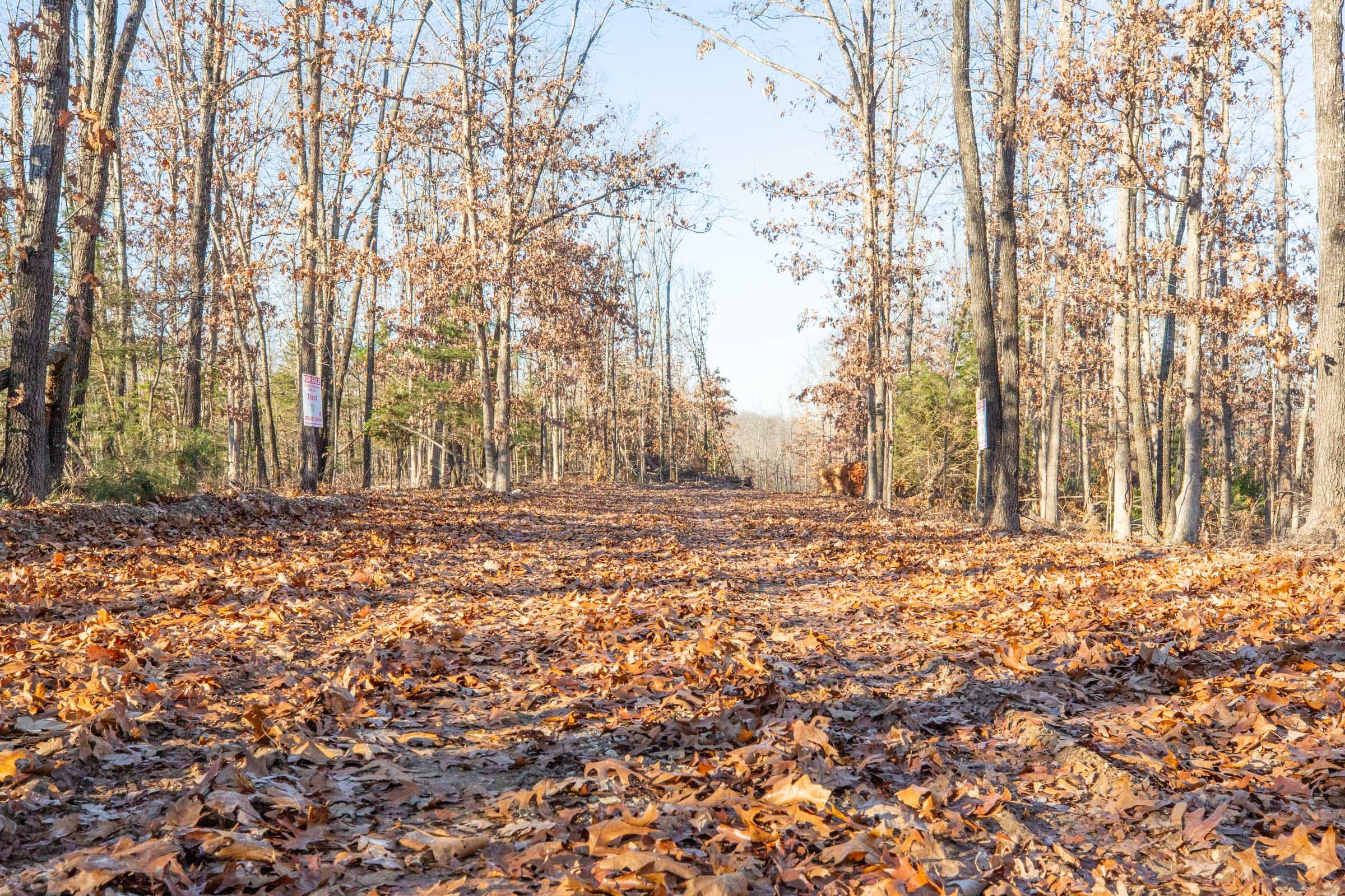 Dutchman Hollow Tract 10 photo 1