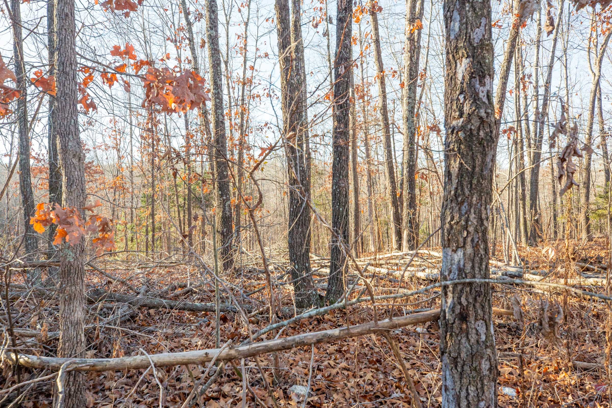 Dutchman Hollow Tract 10 photo 3