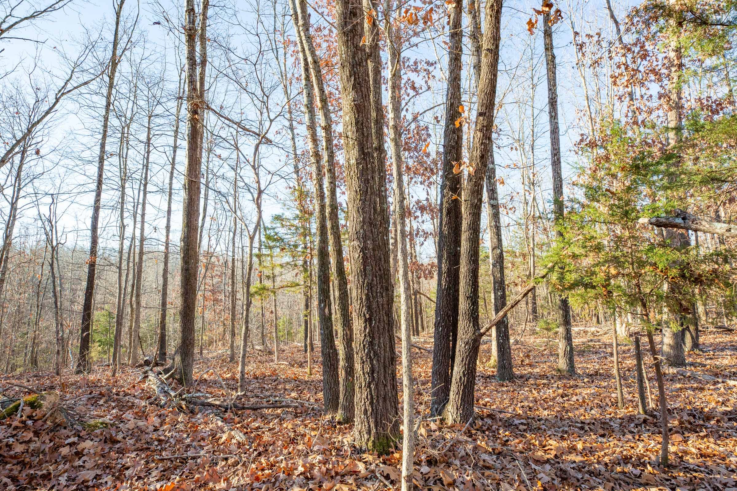 Dutchman Hollow Tract 10 photo 4