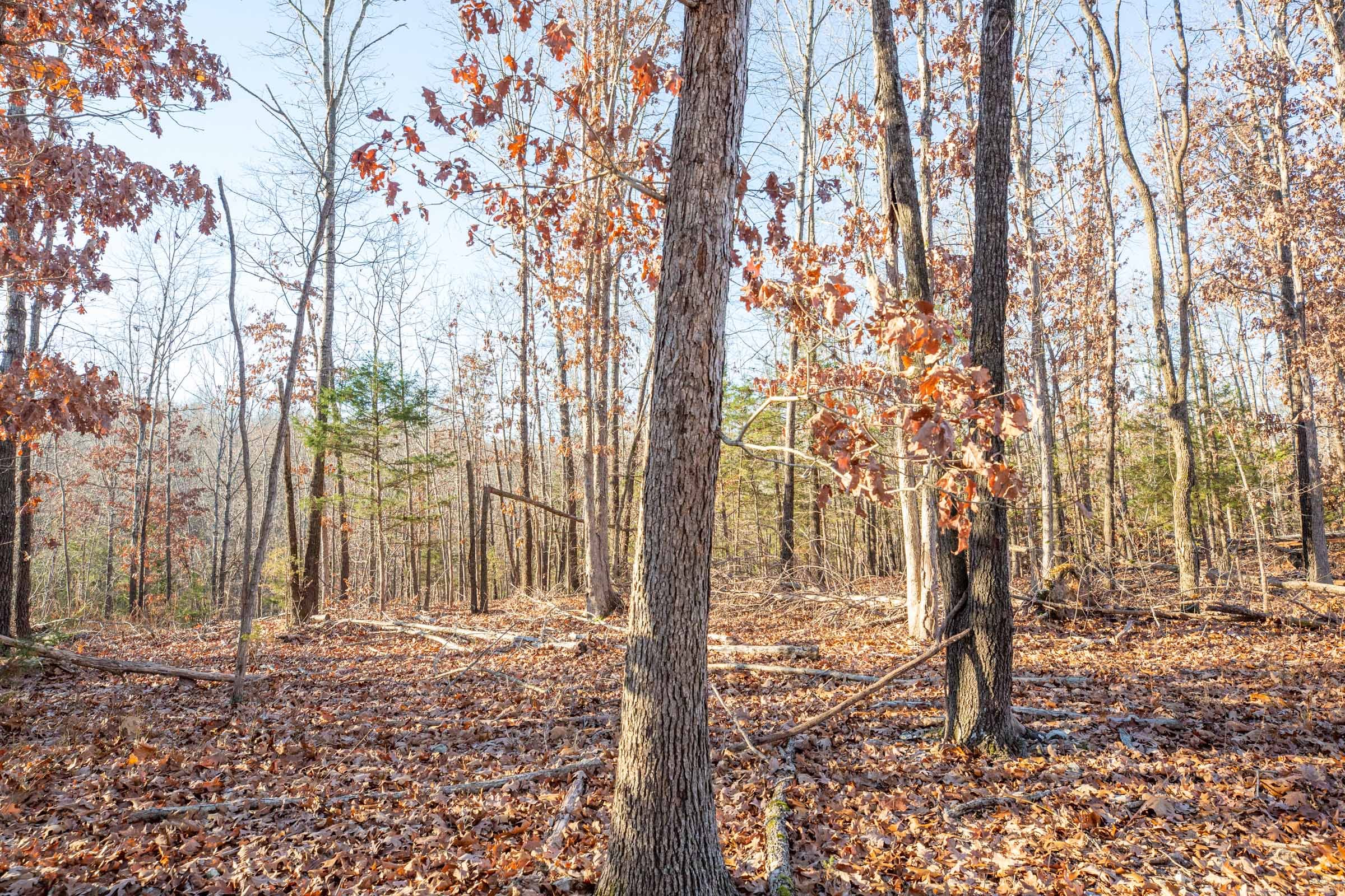 Dutchman Hollow Tract 10 photo 6