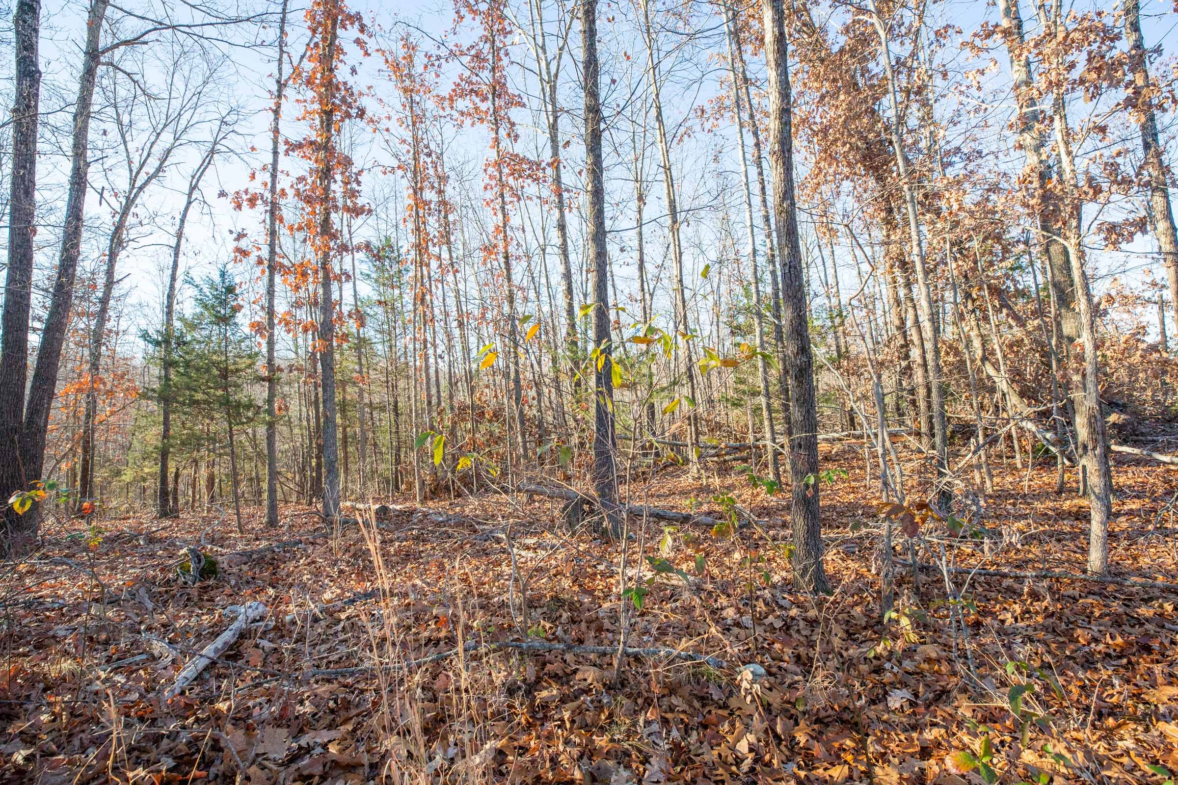 Dutchman Hollow Tract 10 photo 2