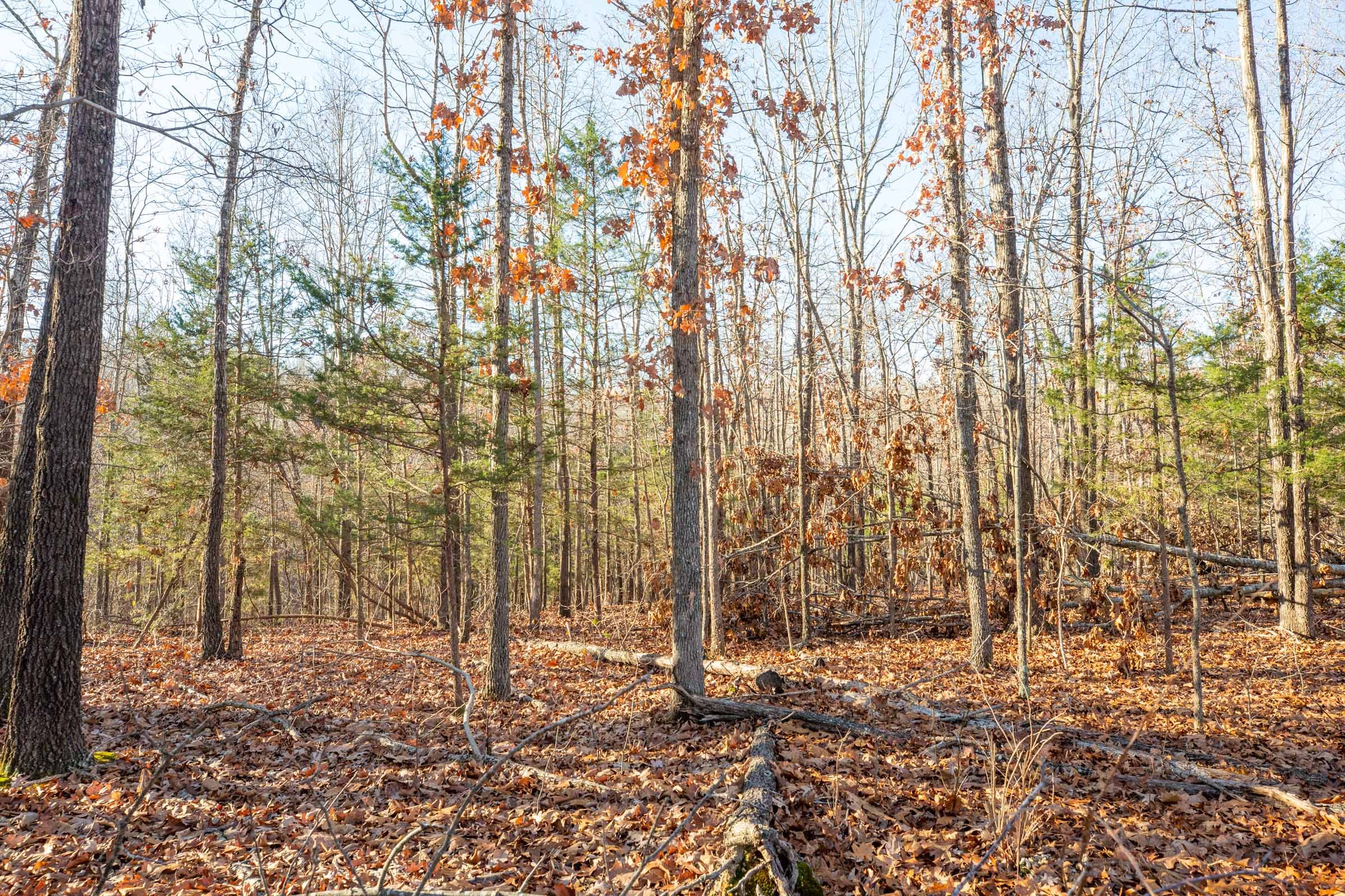 Dutchman Hollow Tract 10 photo 8