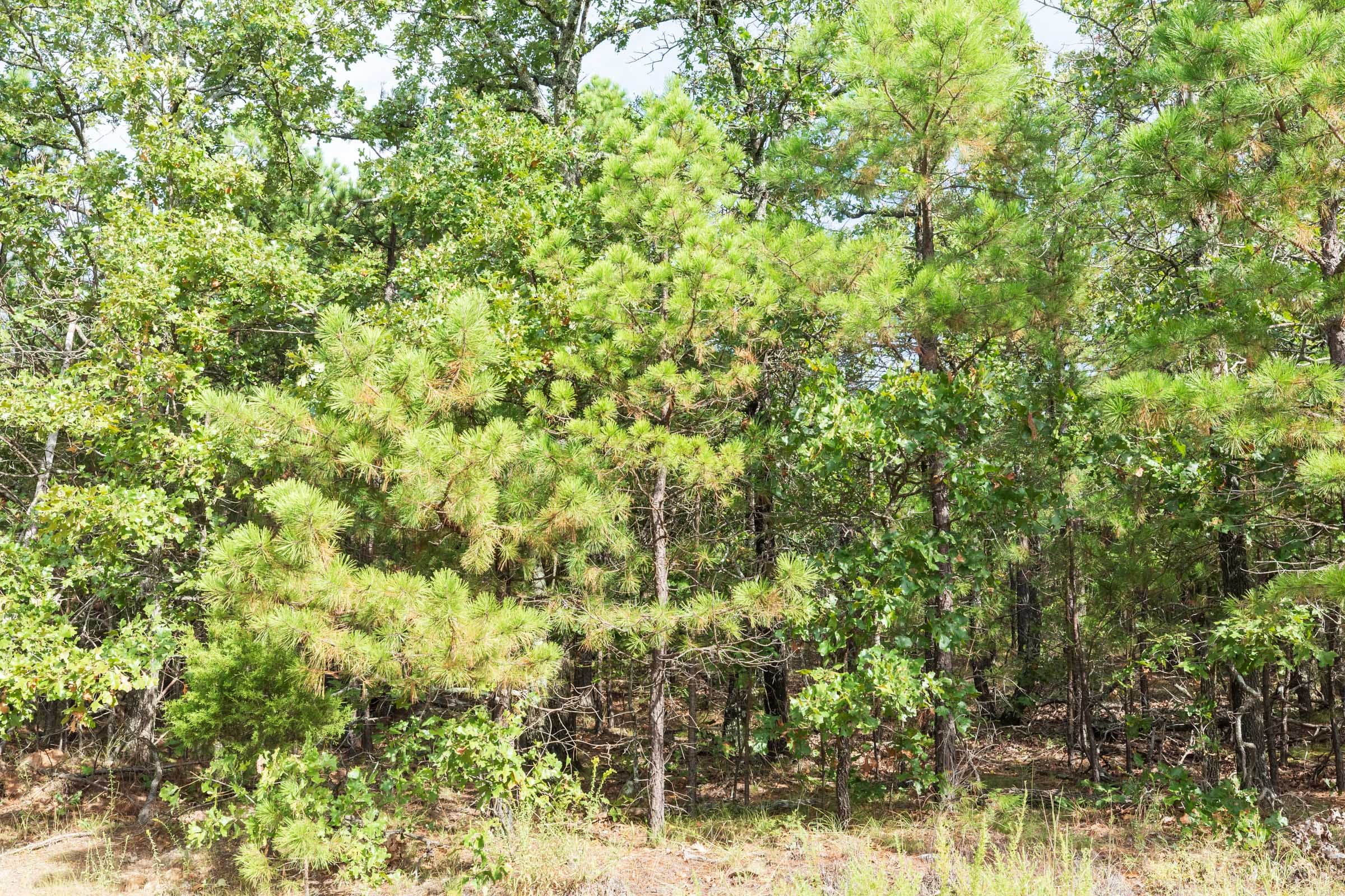 Stone Bridge Phase V Tract 389 photo 5