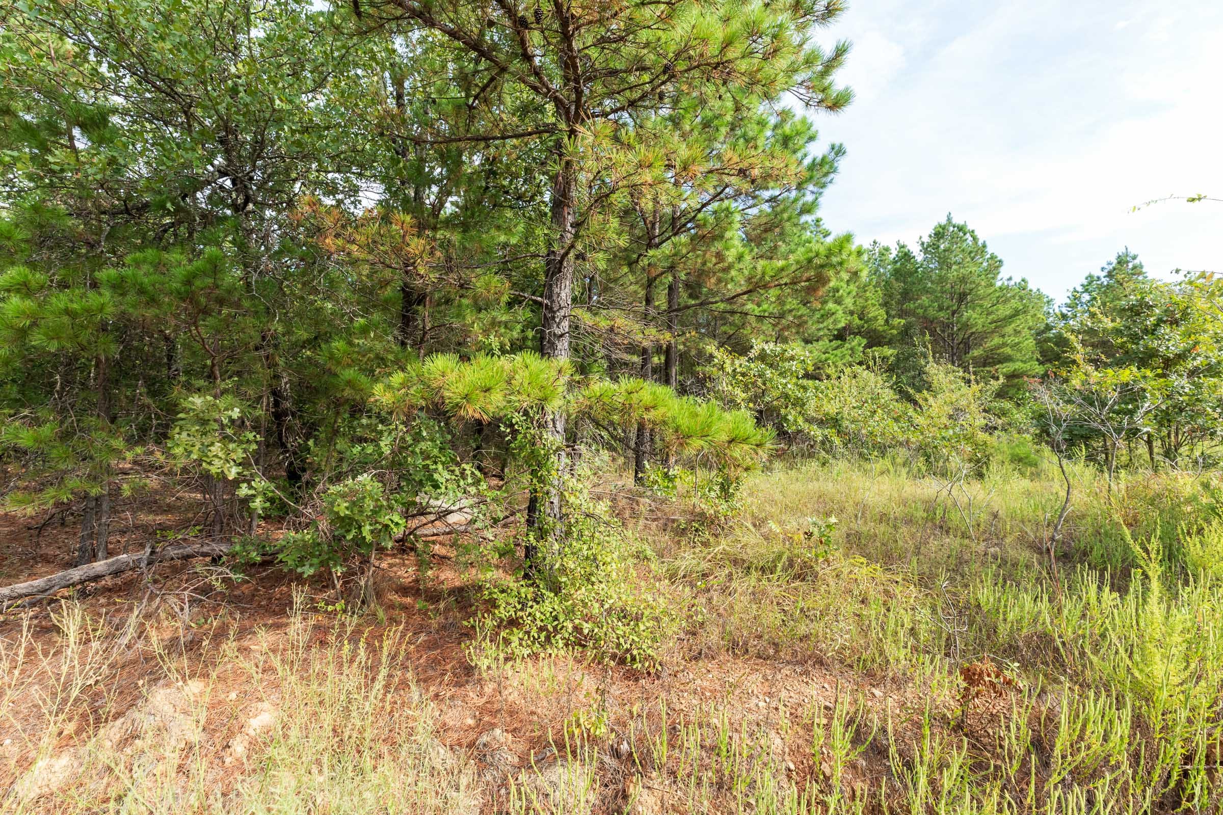 Stone Bridge Phase V Tract 389 photo 15