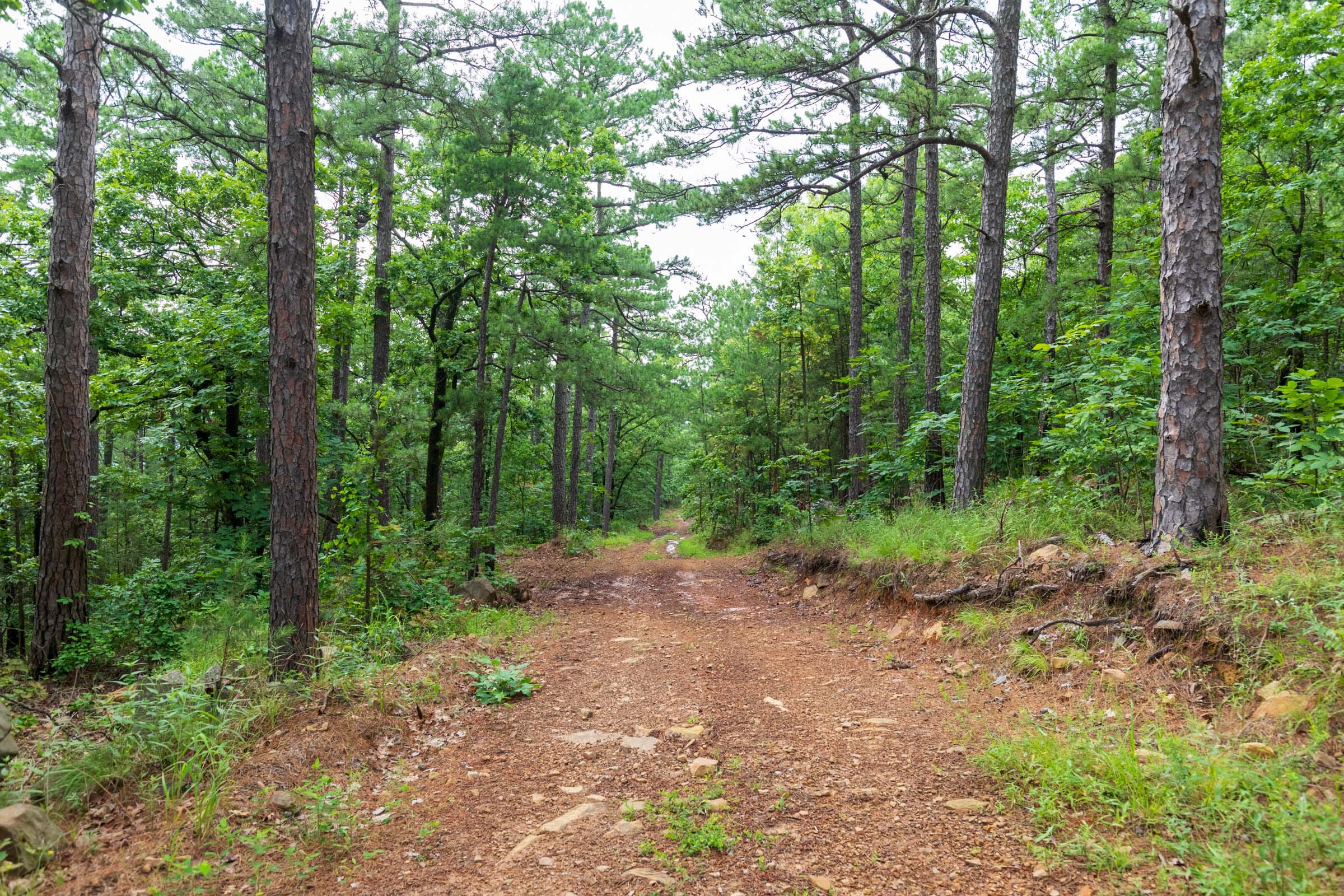 Stone Bridge Phase VI Tract 434 photo 10