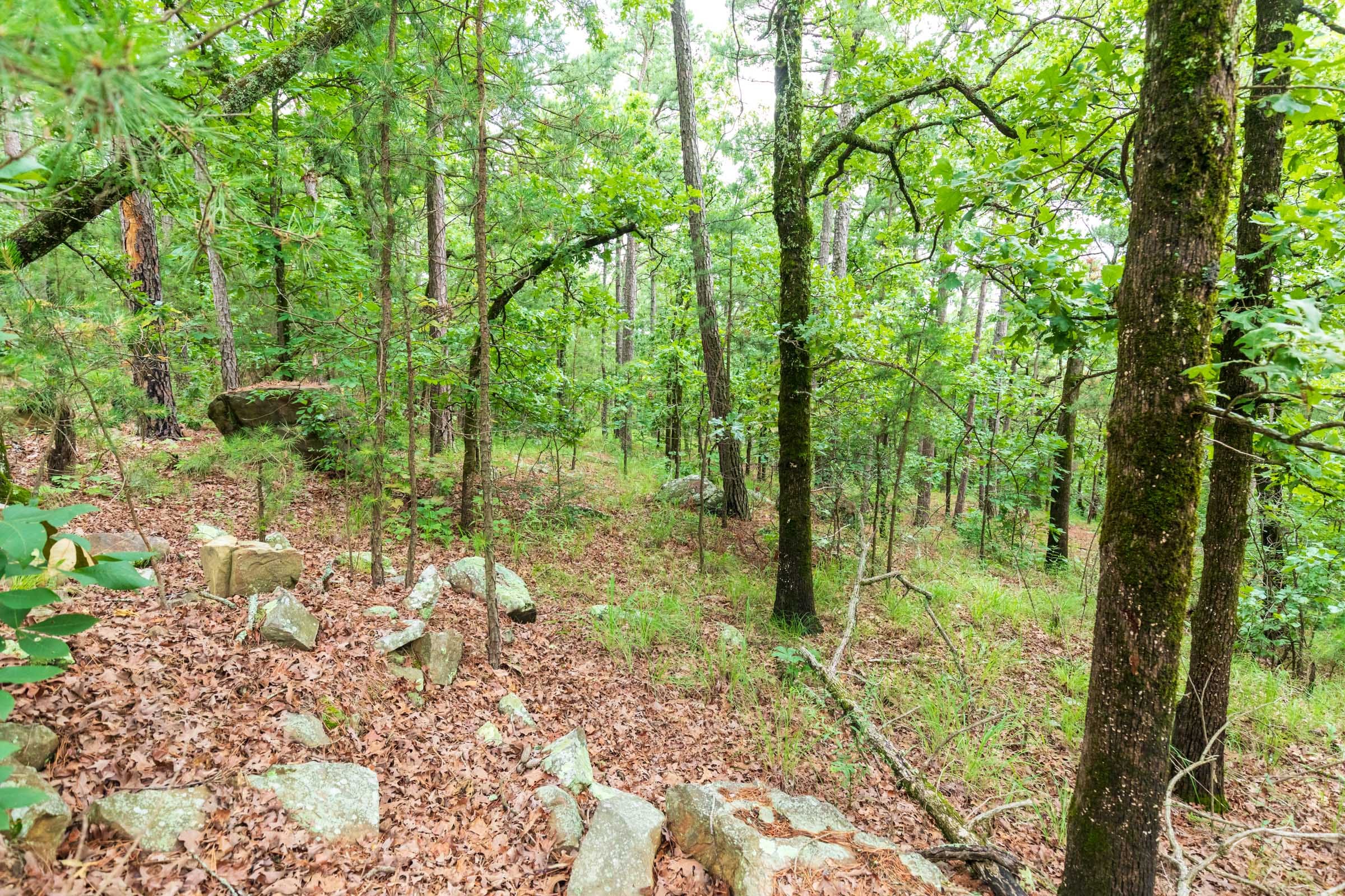 Stone Bridge Phase VI Tract 434 photo 3