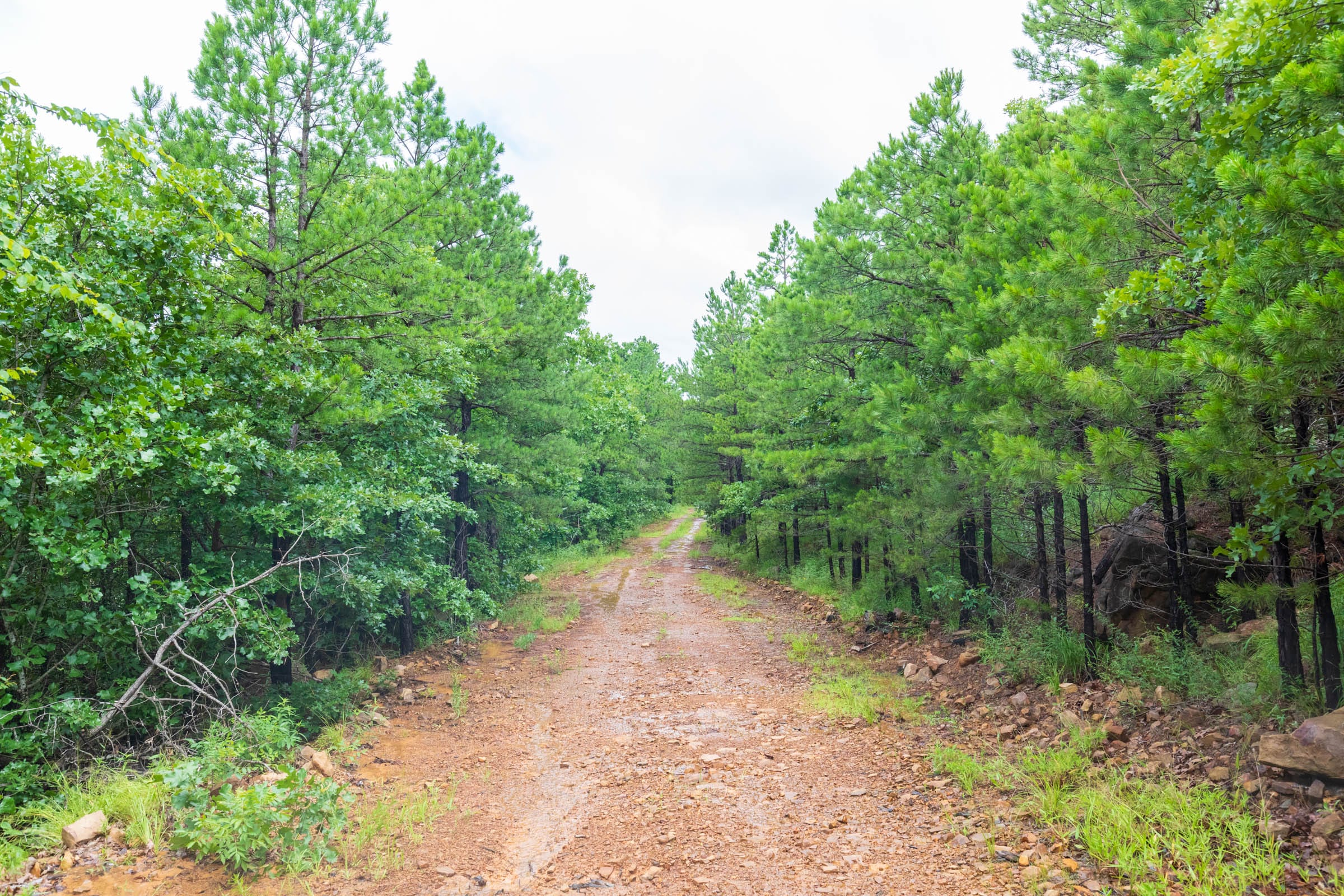 Stone Bridge Phase VI Tract 434 photo 1