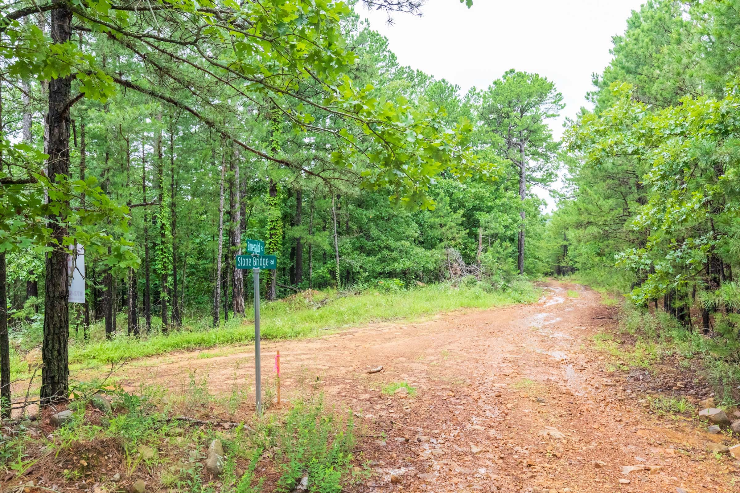 Stone Bridge Phase VI Tract 434 photo 4