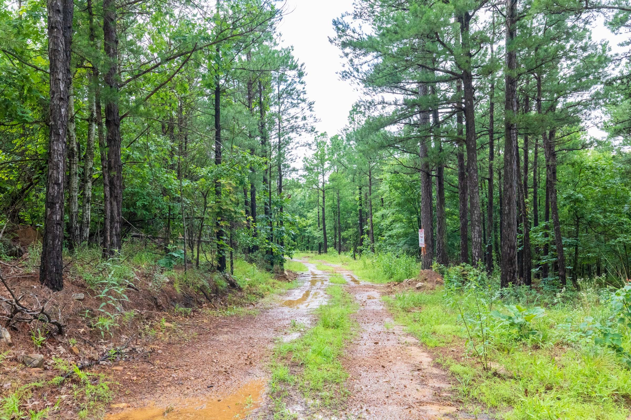 Stone Bridge Phase VI Tract 434 photo 6