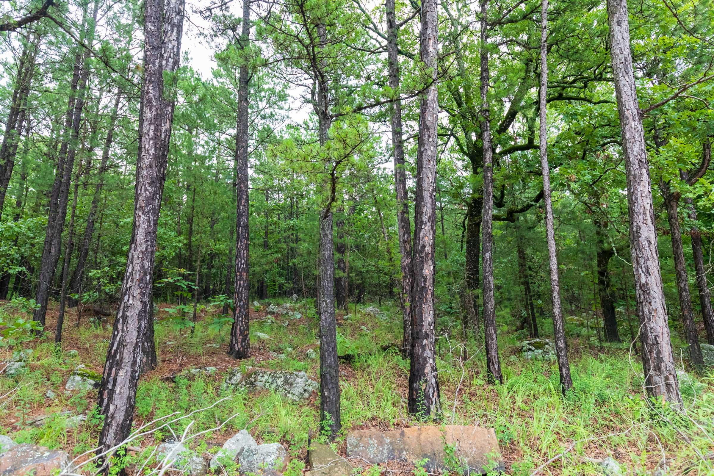 Stone Bridge Phase VI Tract 434 photo 9