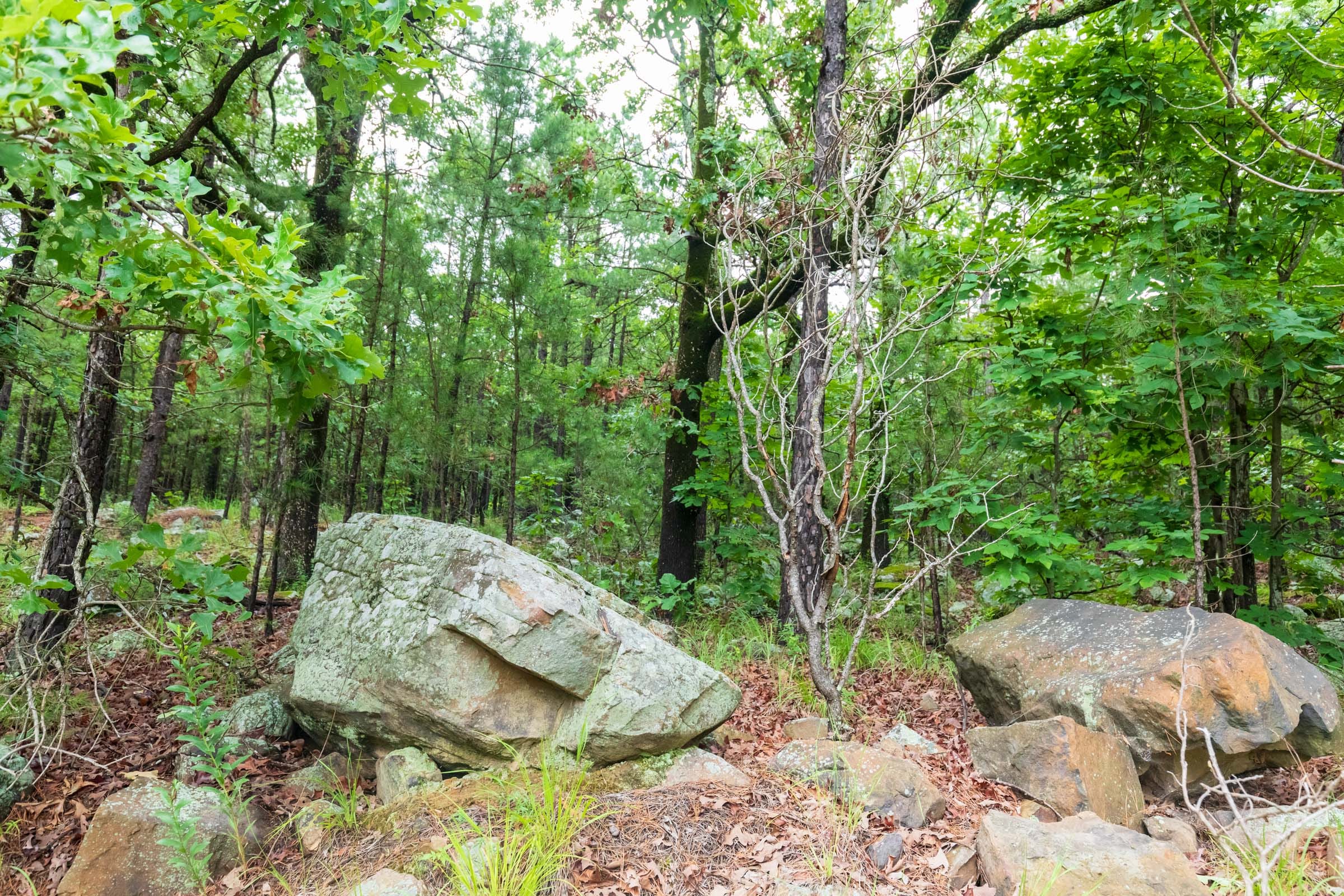 Stone Bridge Phase VI Tract 434 photo 8
