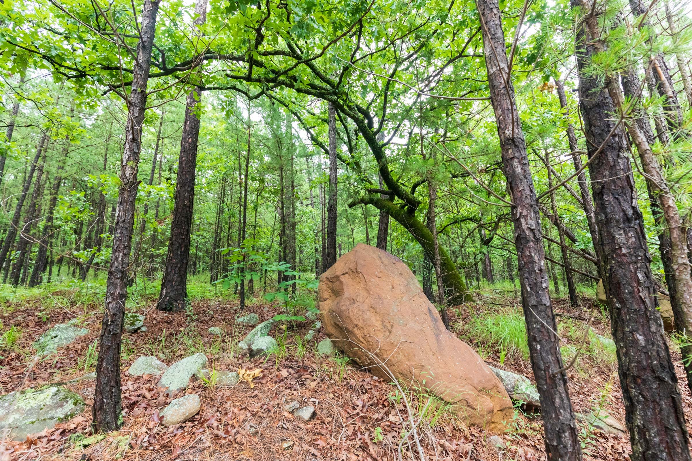 Stone Bridge Phase VI Tract 434 photo 11