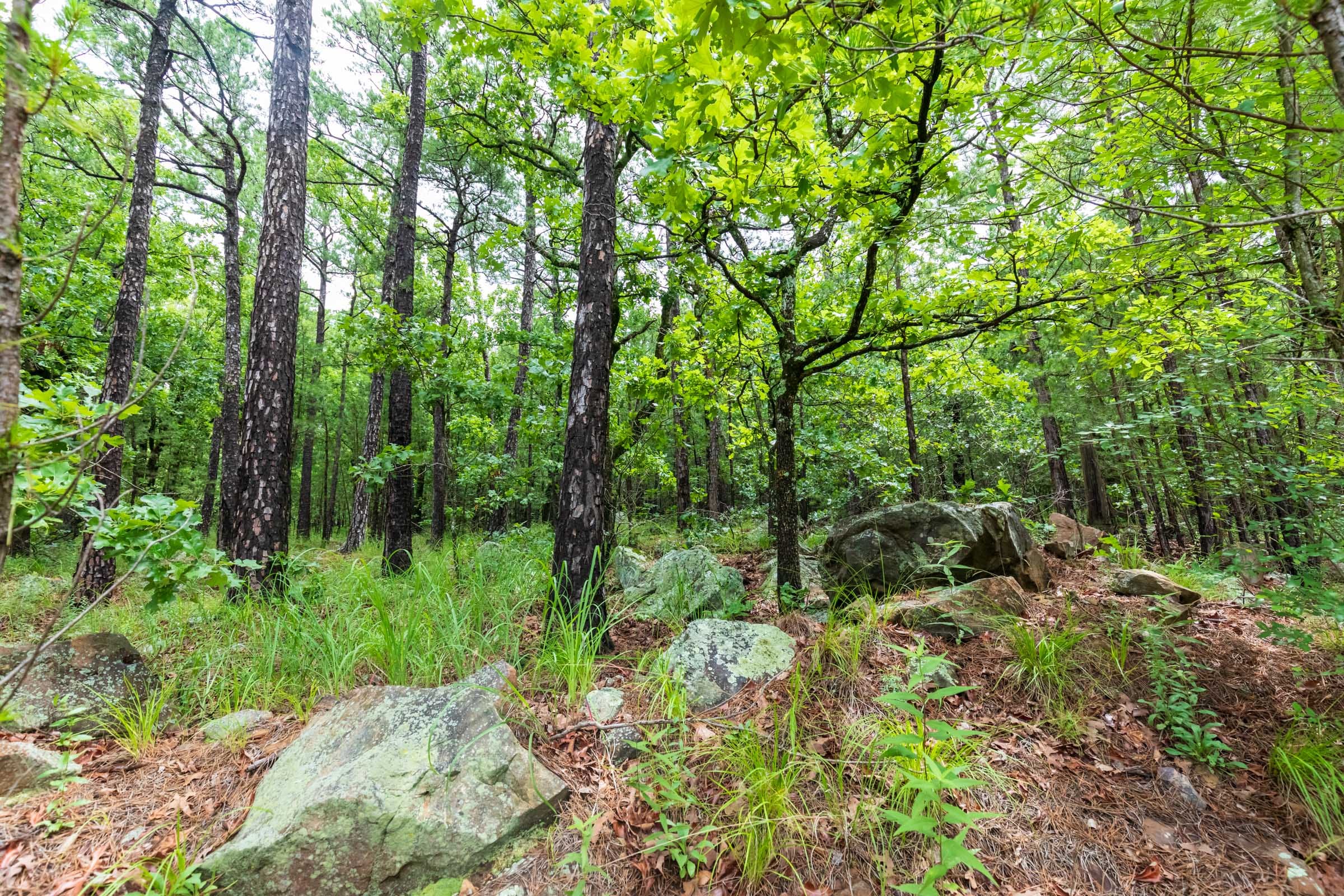 Stone Bridge Phase VI Tract 434 photo 15