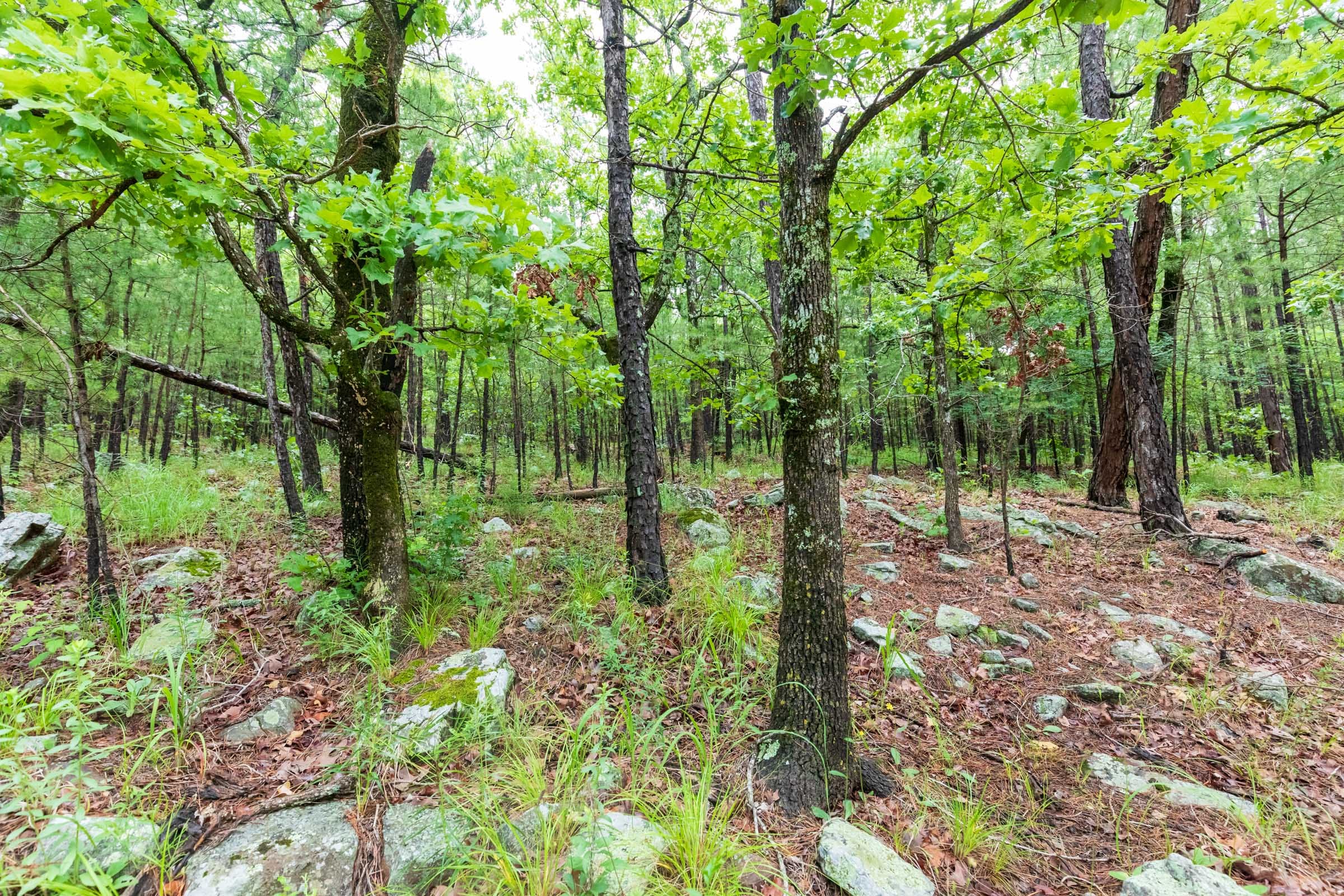 Stone Bridge Phase VI Tract 434 photo 16