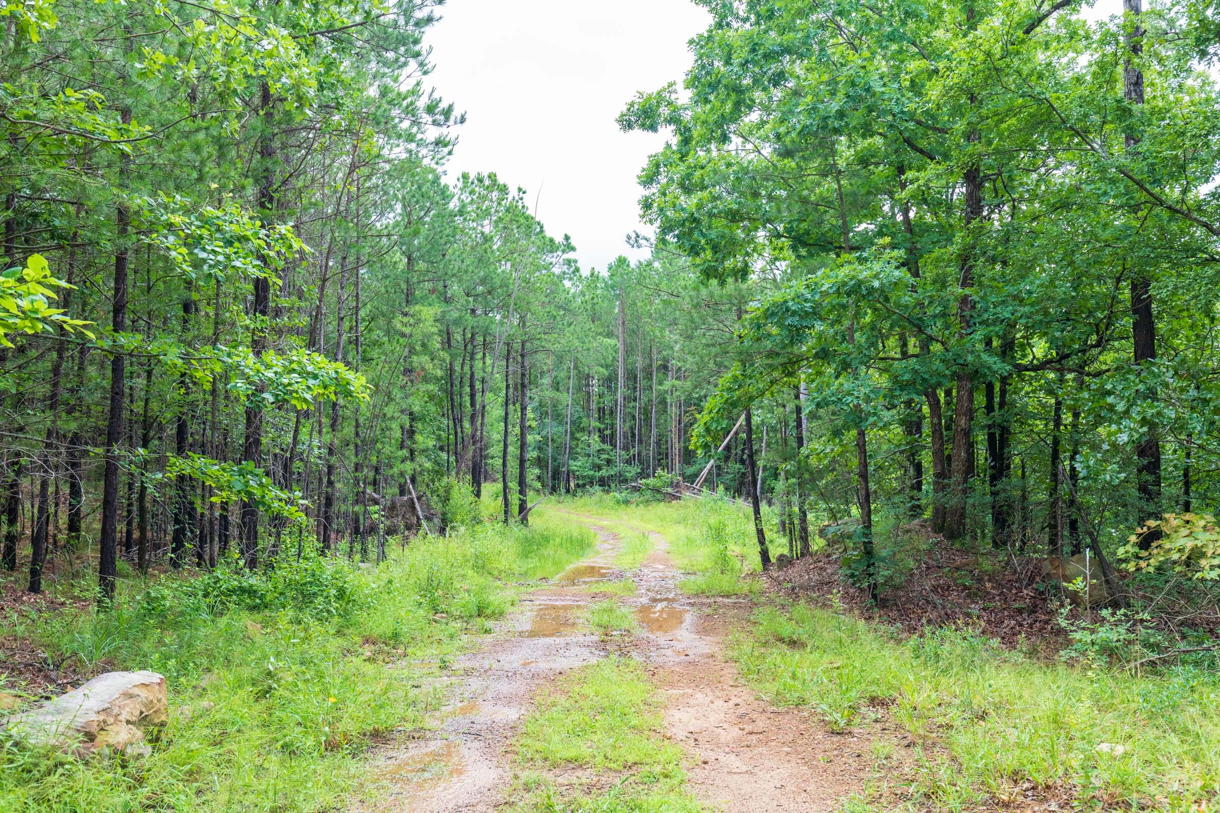 Stone Bridge Phase VI Tract 434 photo 14