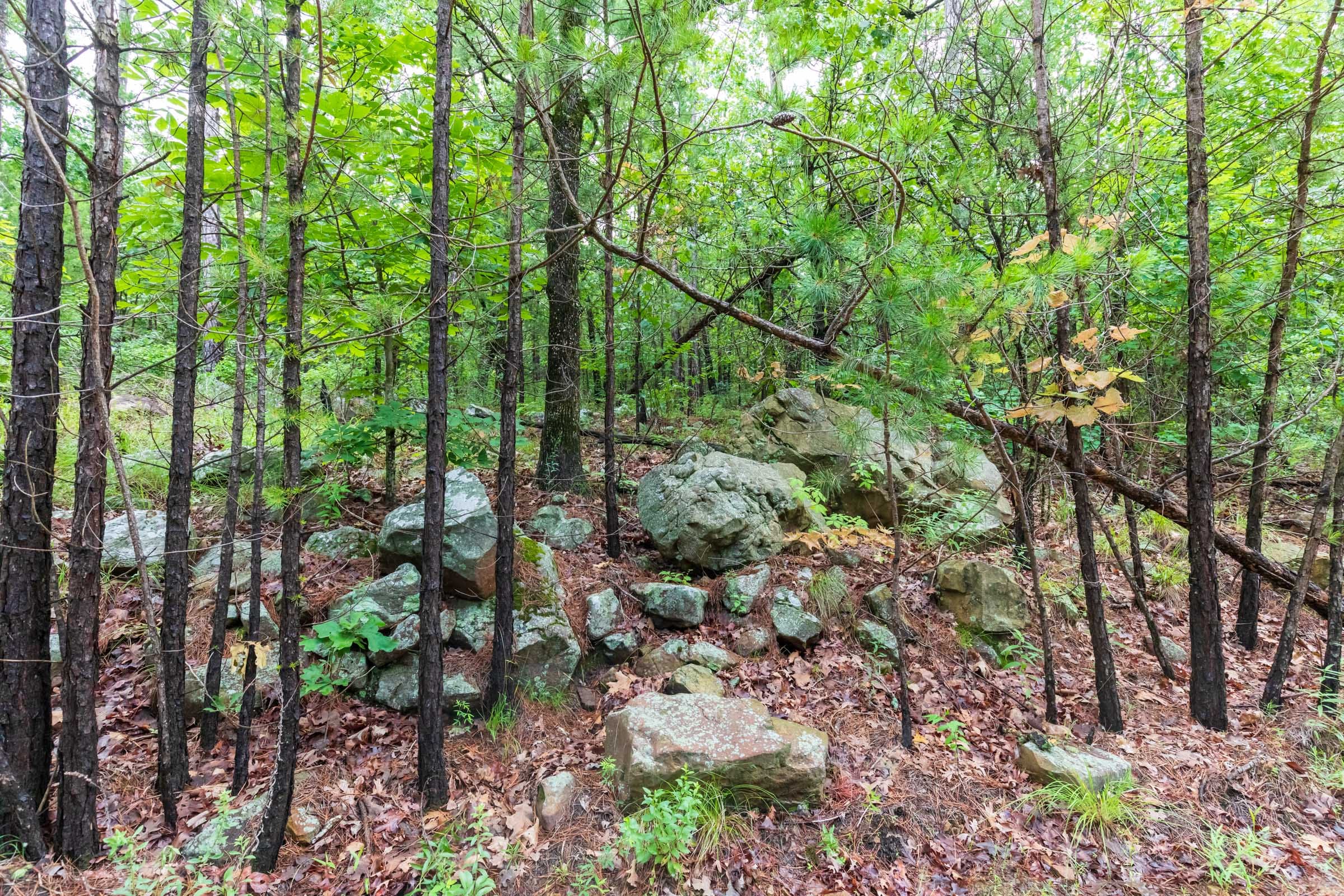 Stone Bridge Phase VI Tract 434 photo 13