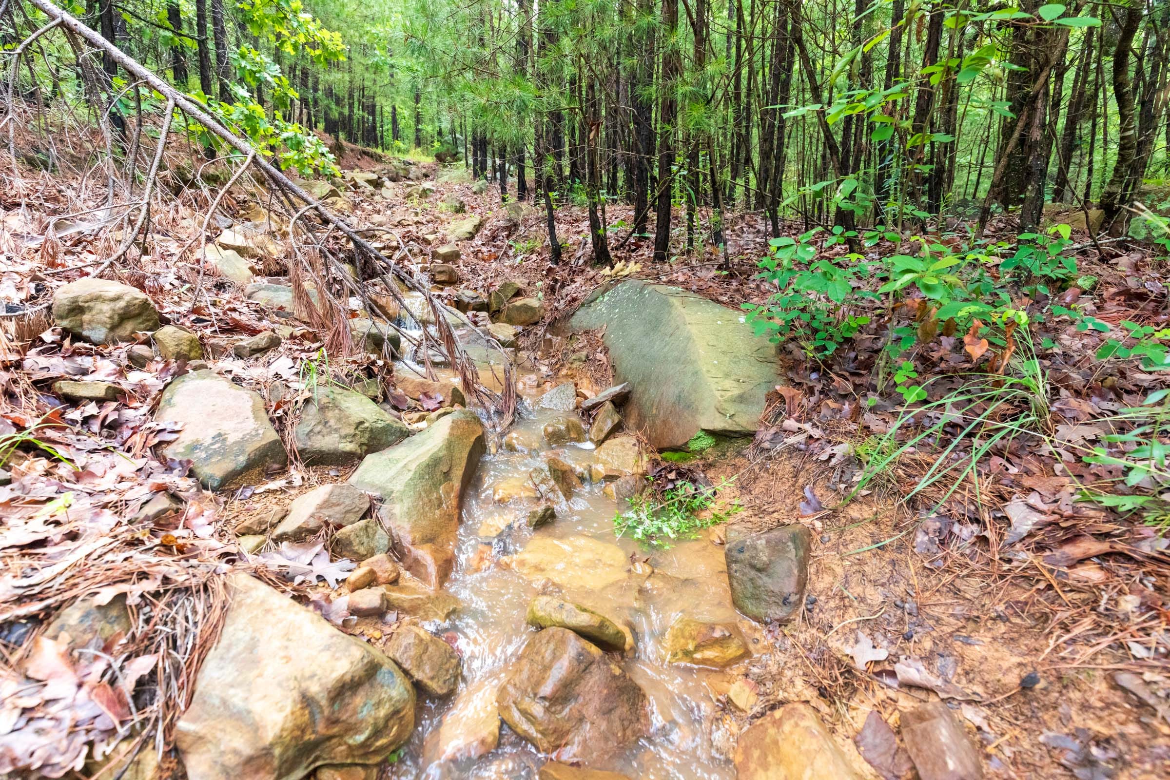 Stone Bridge Phase VI Tract 434 photo 2