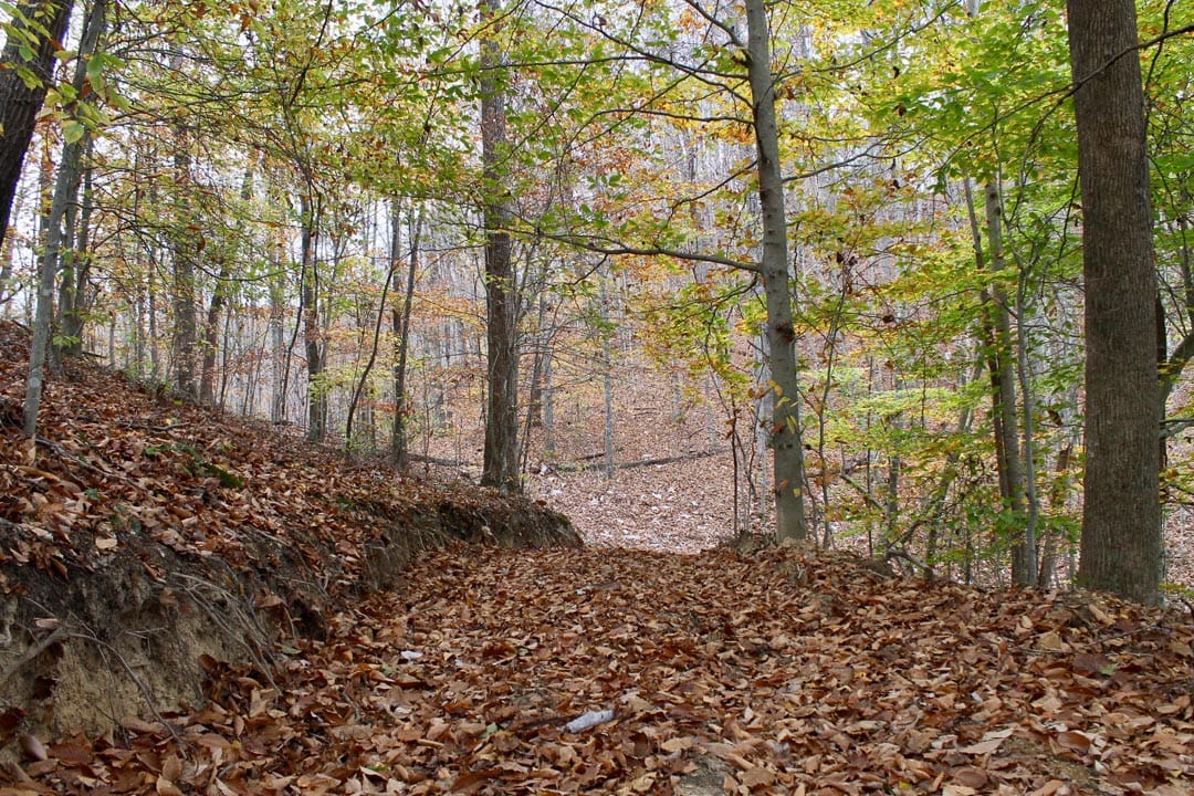 Autumn Ridge Tract 19 photo 1