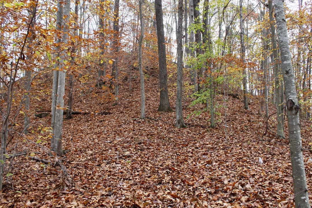 Autumn Ridge Tract 19 photo 2