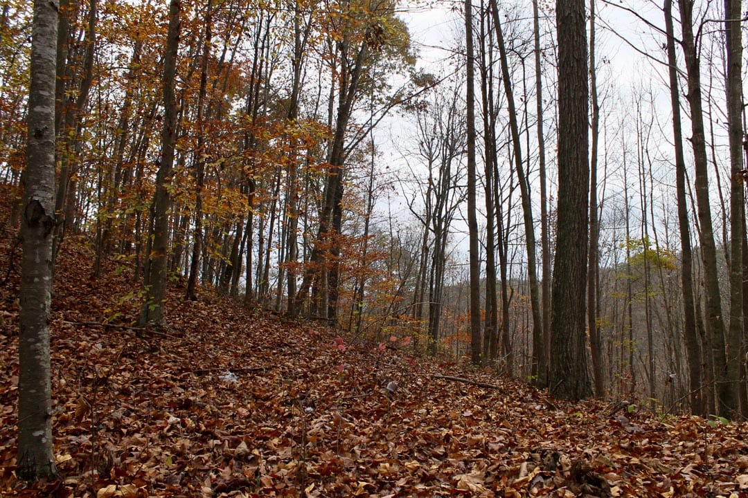 Autumn Ridge Tract 19 photo 3