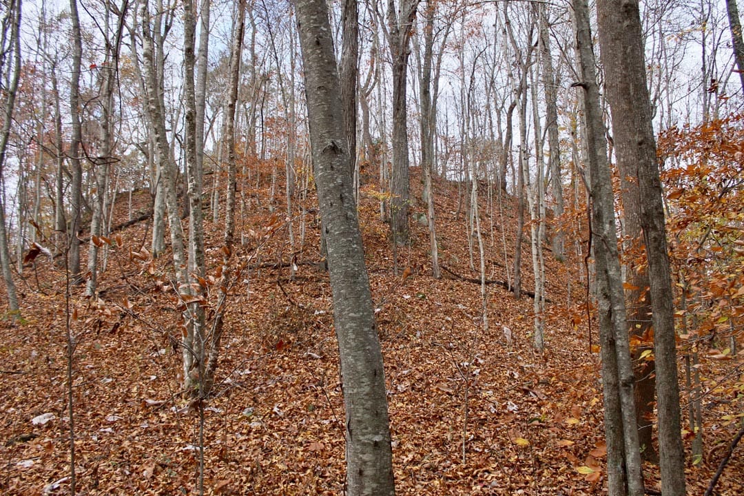 Autumn Ridge Tract 19 photo 5