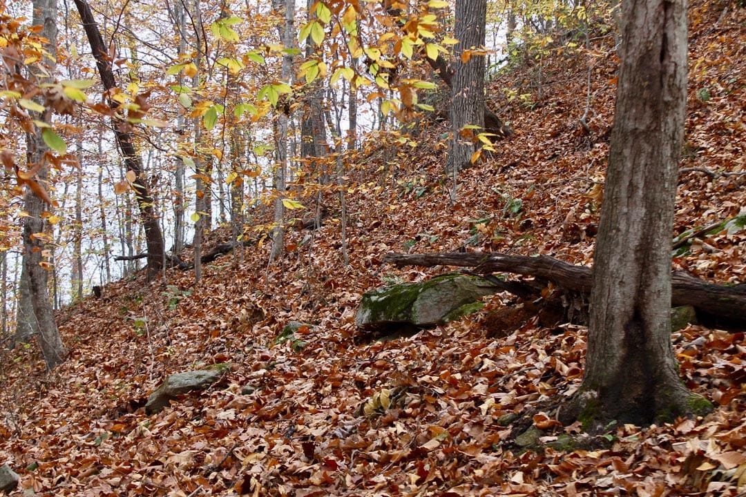 Autumn Ridge Tract 19 photo 8