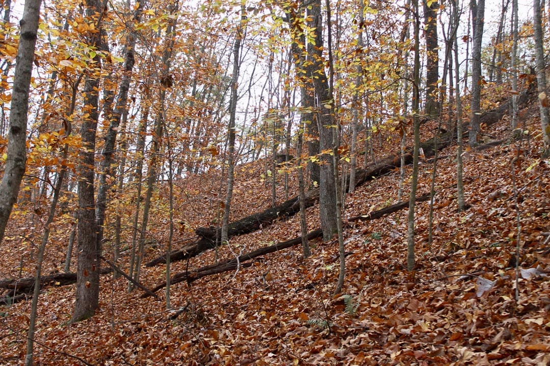 Autumn Ridge Tract 19 photo 9