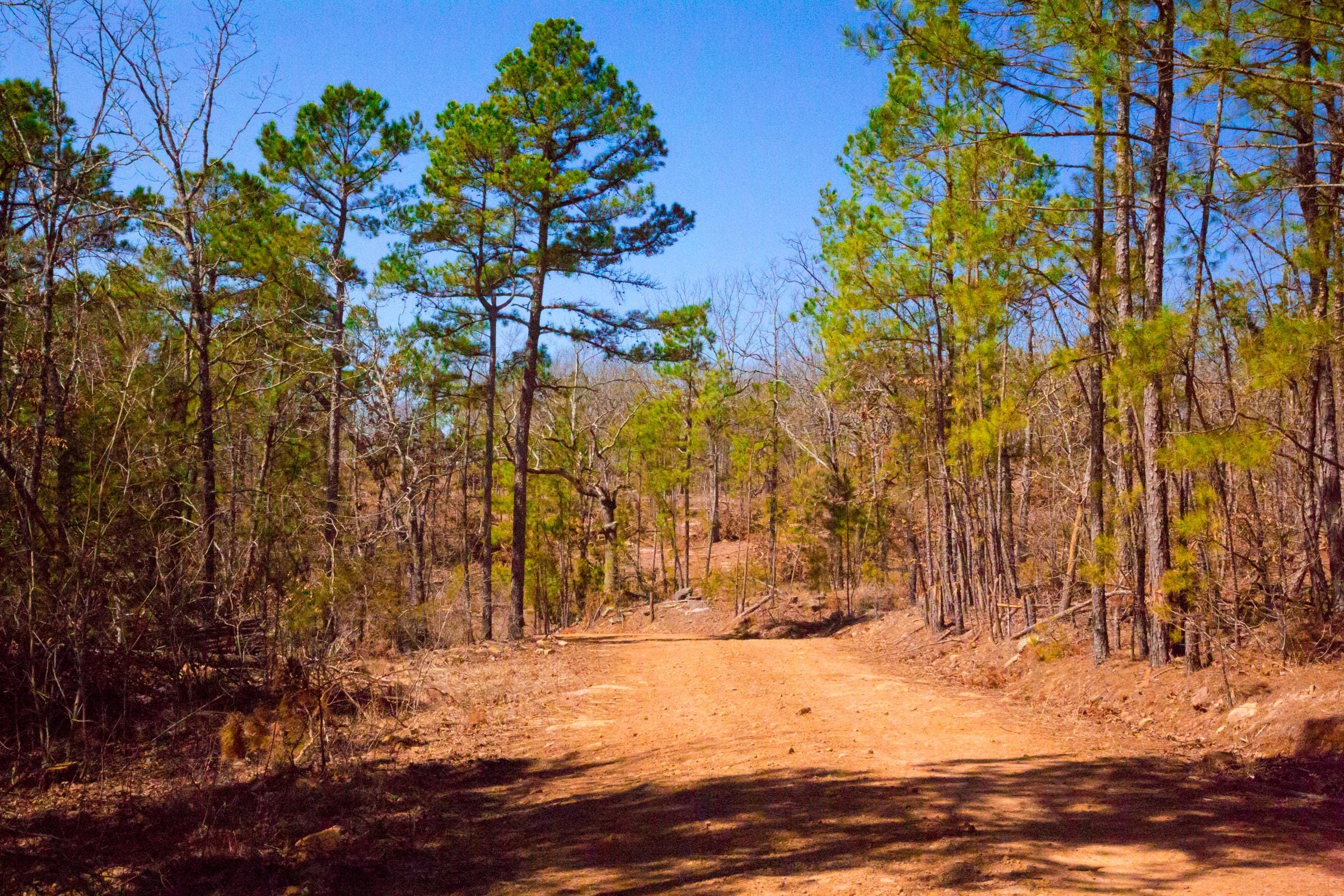 Stone Creek Phase II Tract 136 photo 6