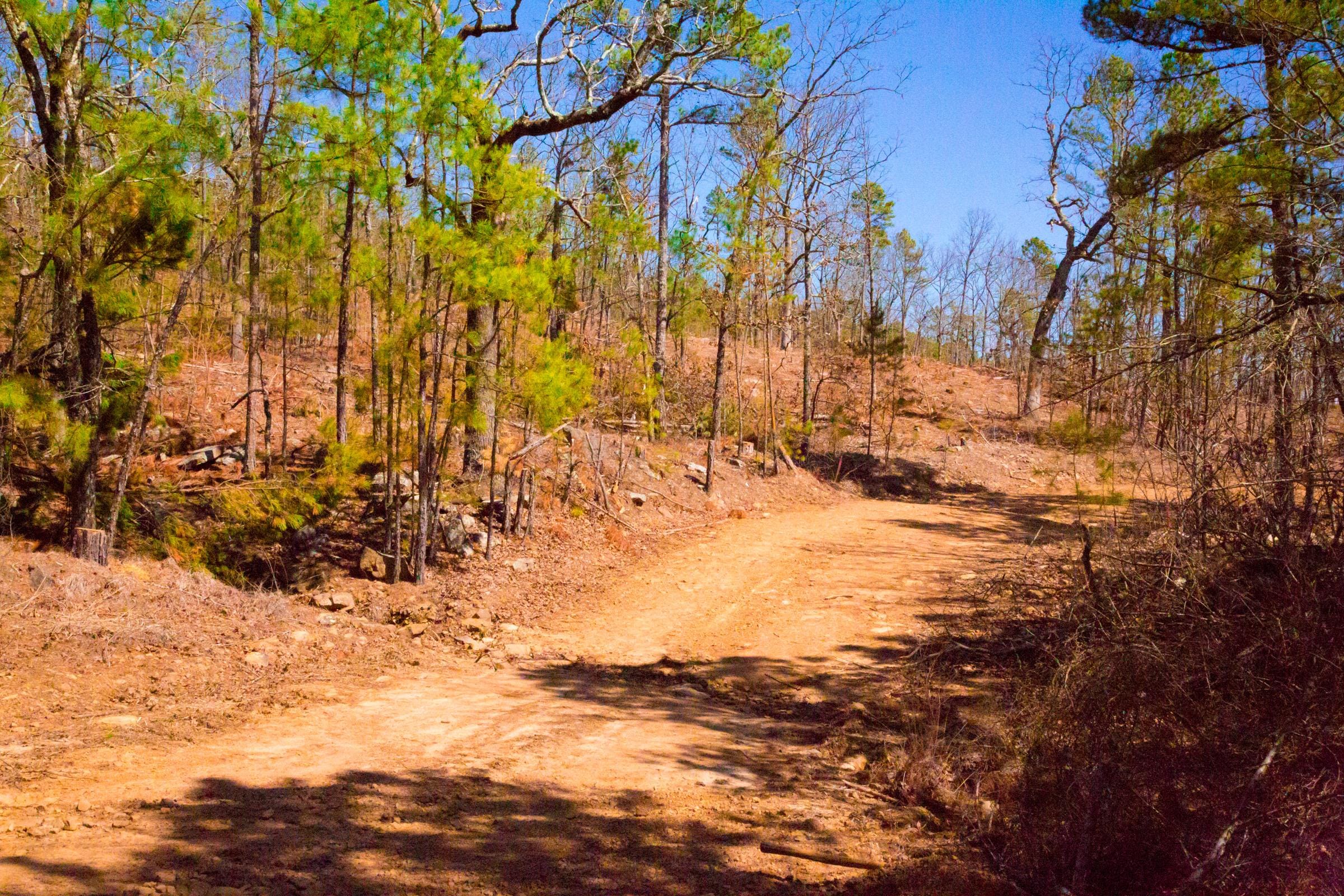 Stone Creek Phase II Tract 136 photo 2