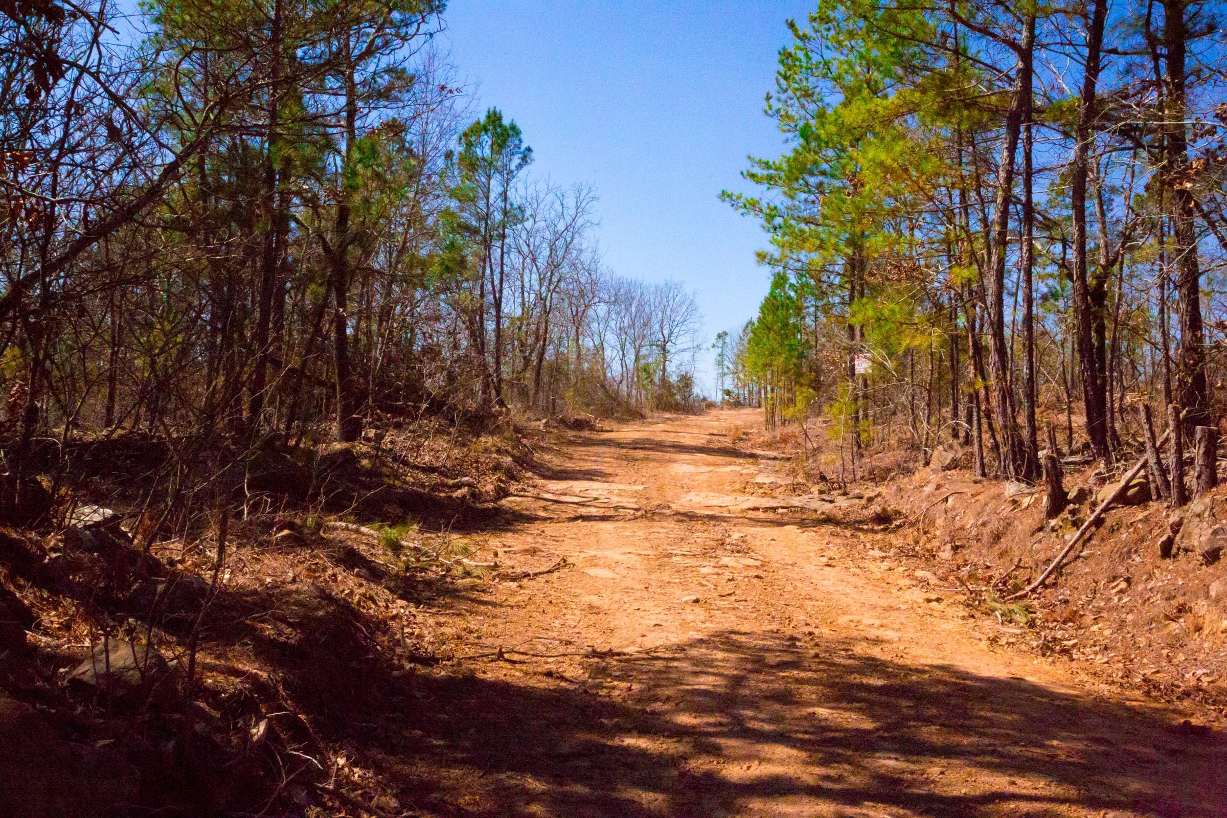 Stone Creek Phase II Tract 136 photo 8