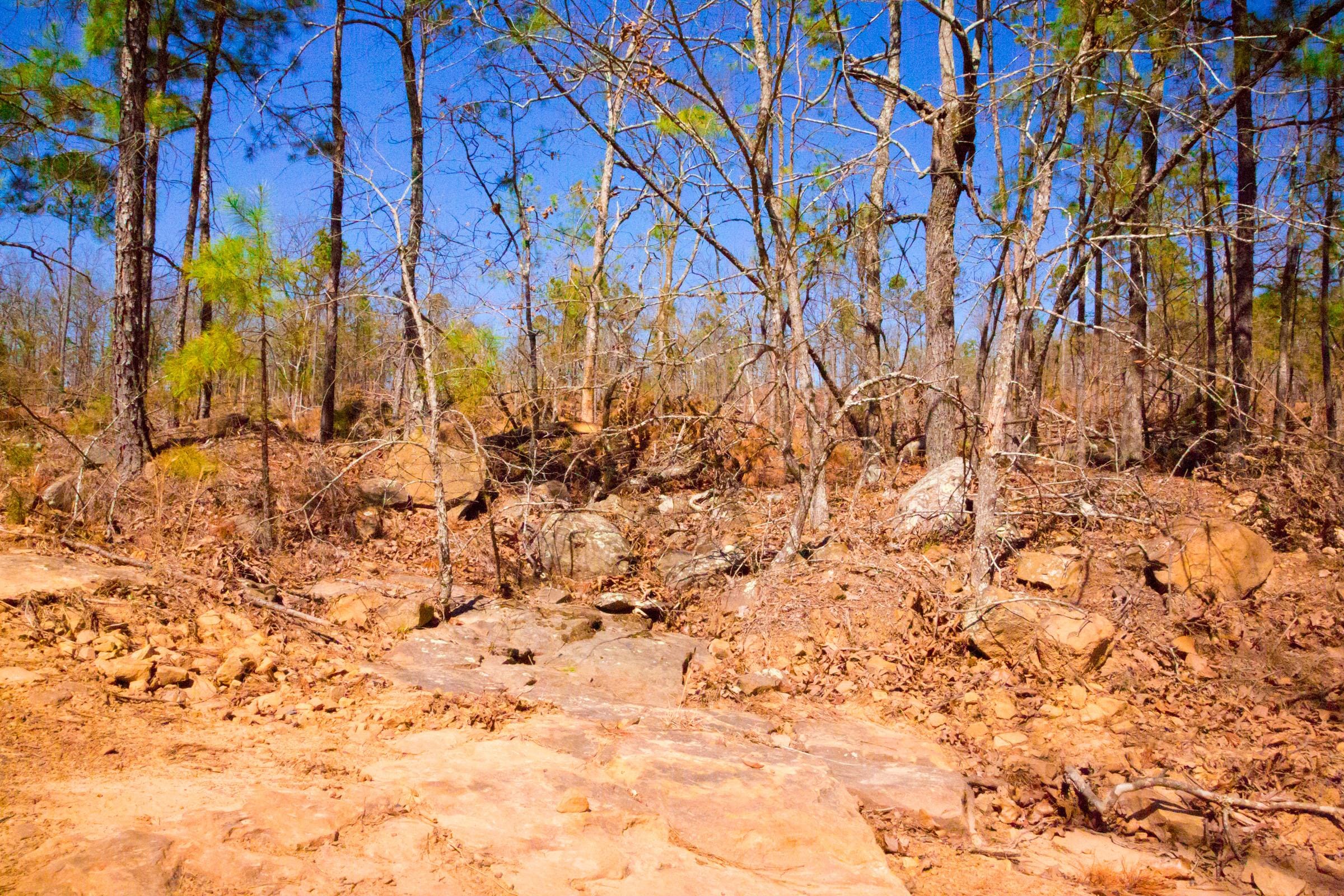 Stone Creek Phase II Tract 136 photo 9